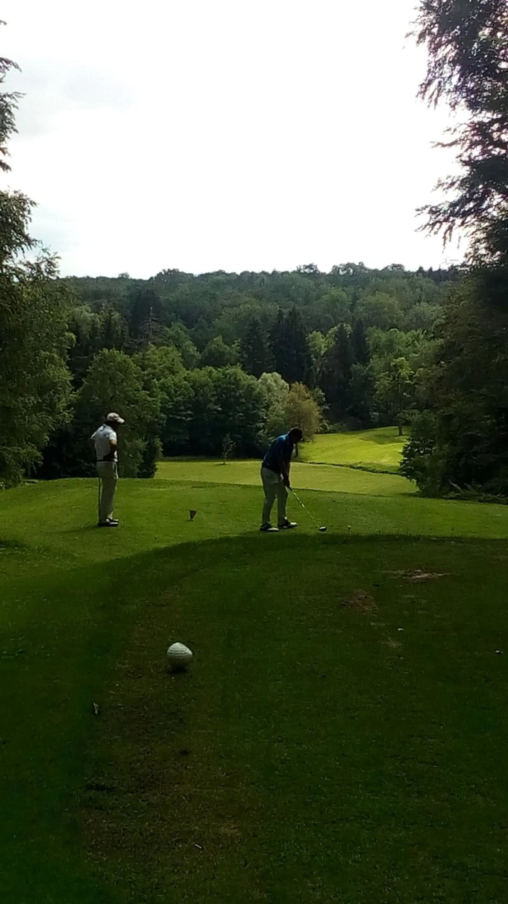 Golfcourse in Le Roi du Sundgau près de la Horse - Mooslargue