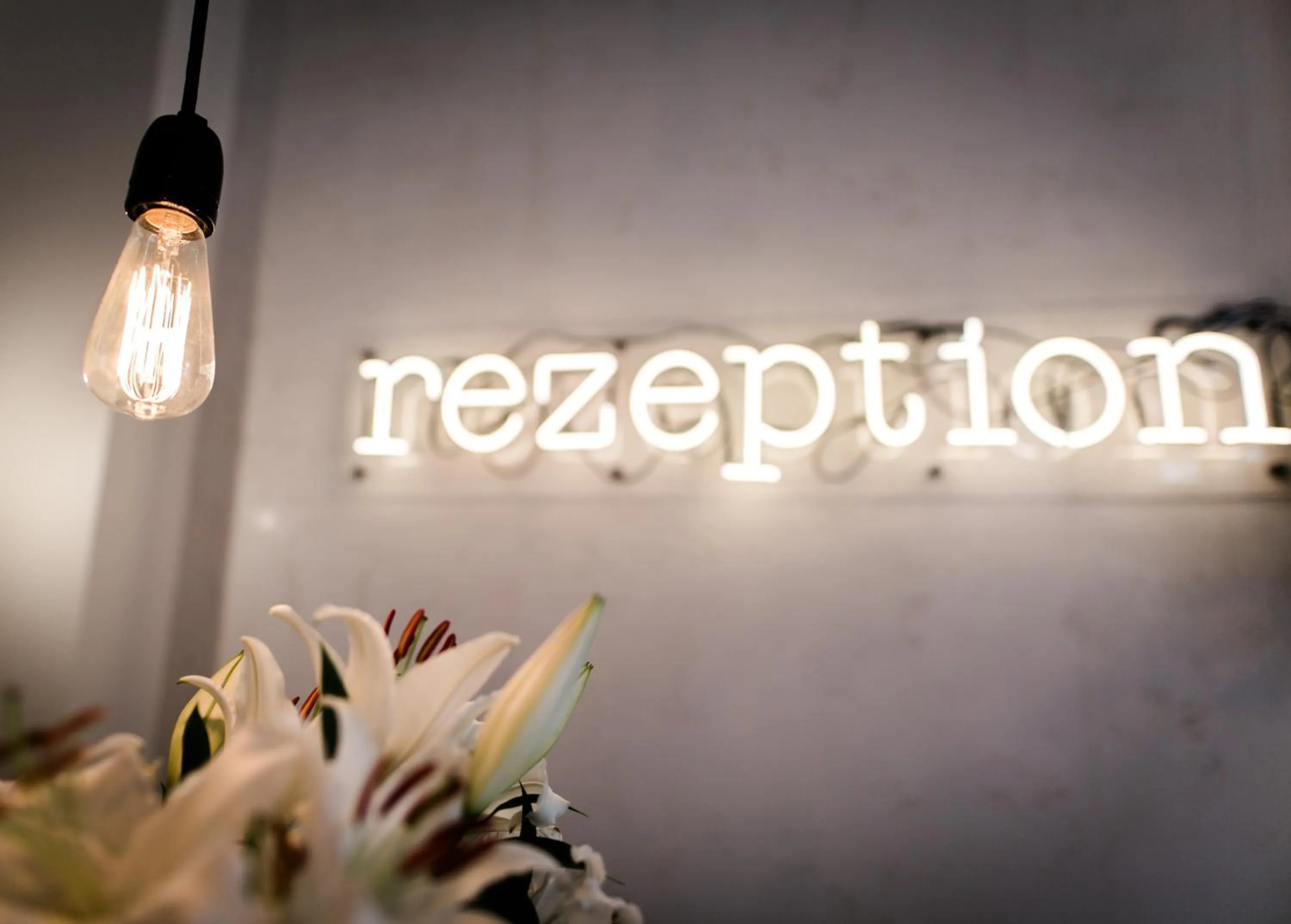 Logo/Certificate/Sign in Pyjama Park Schanzenviertel