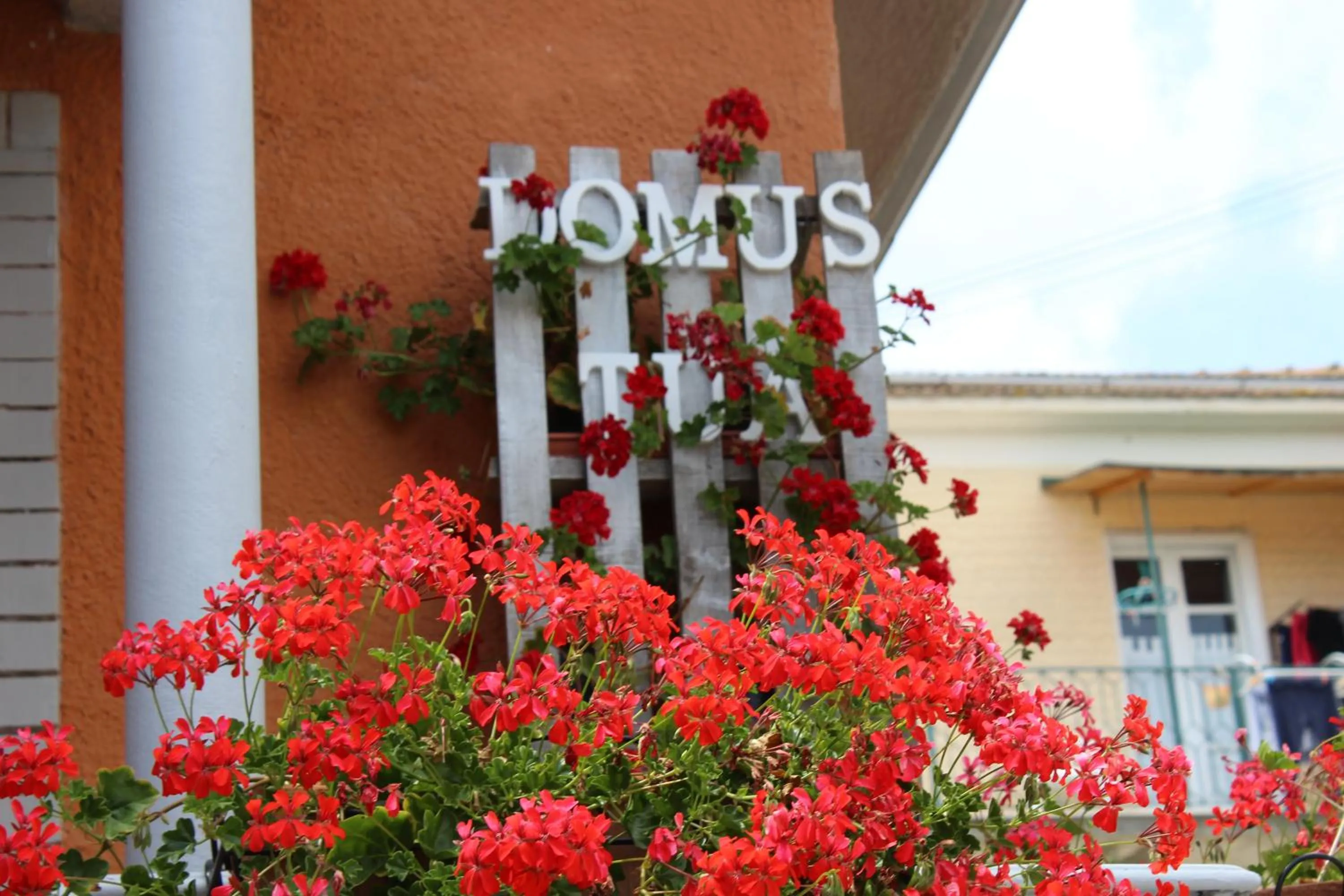 Facade/entrance in Domus Tua