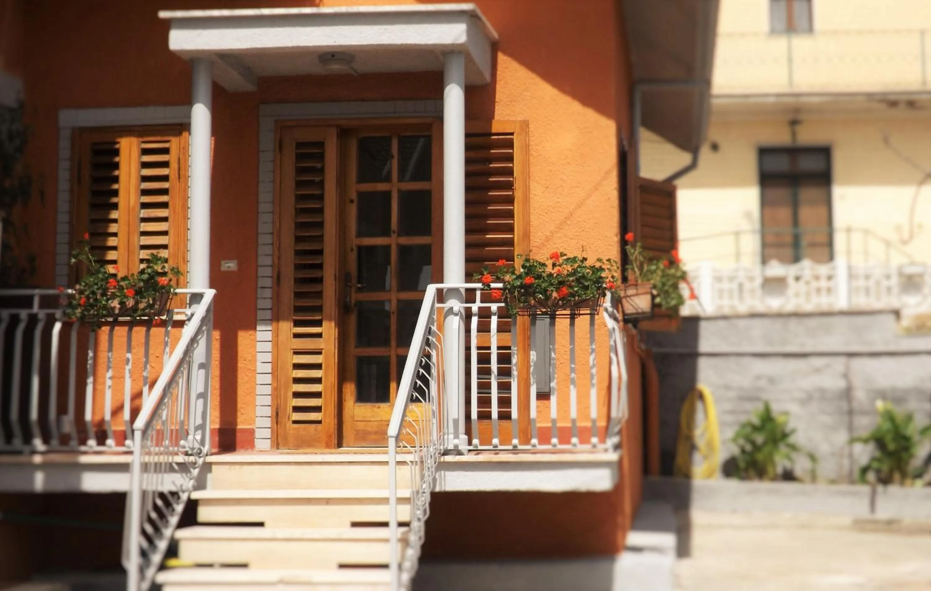 Property building in Domus Tua