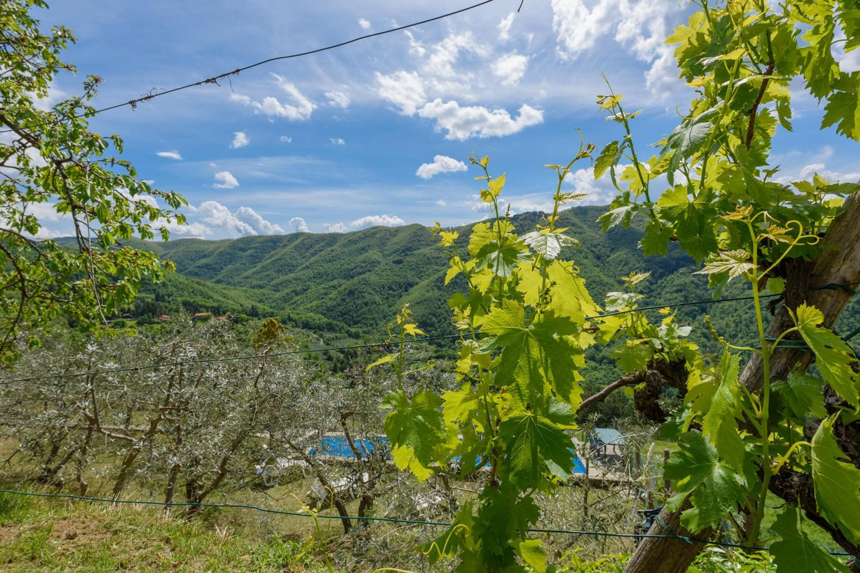 Agriturismo Casapasserini