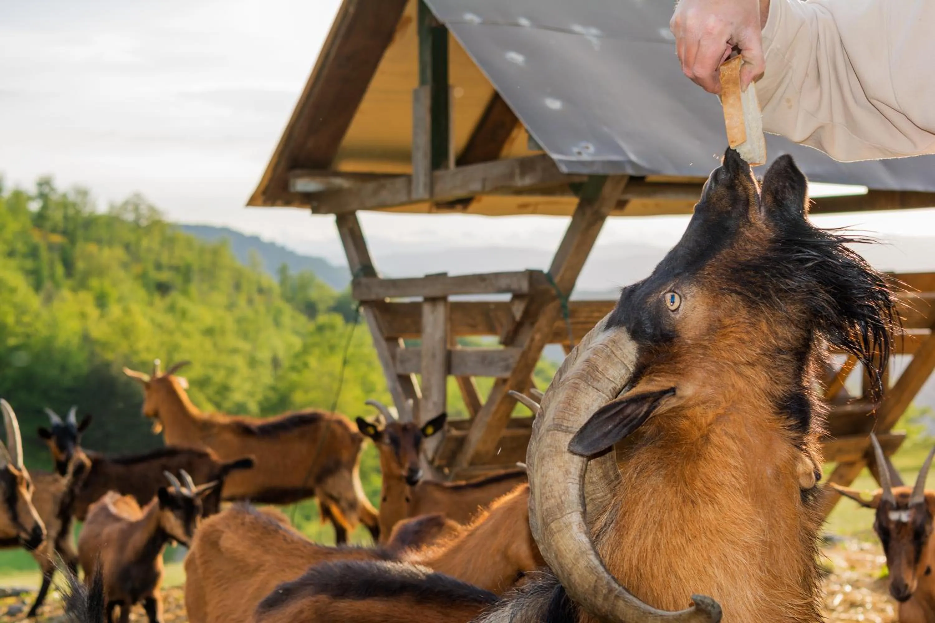 Agriturismo Casapasserini