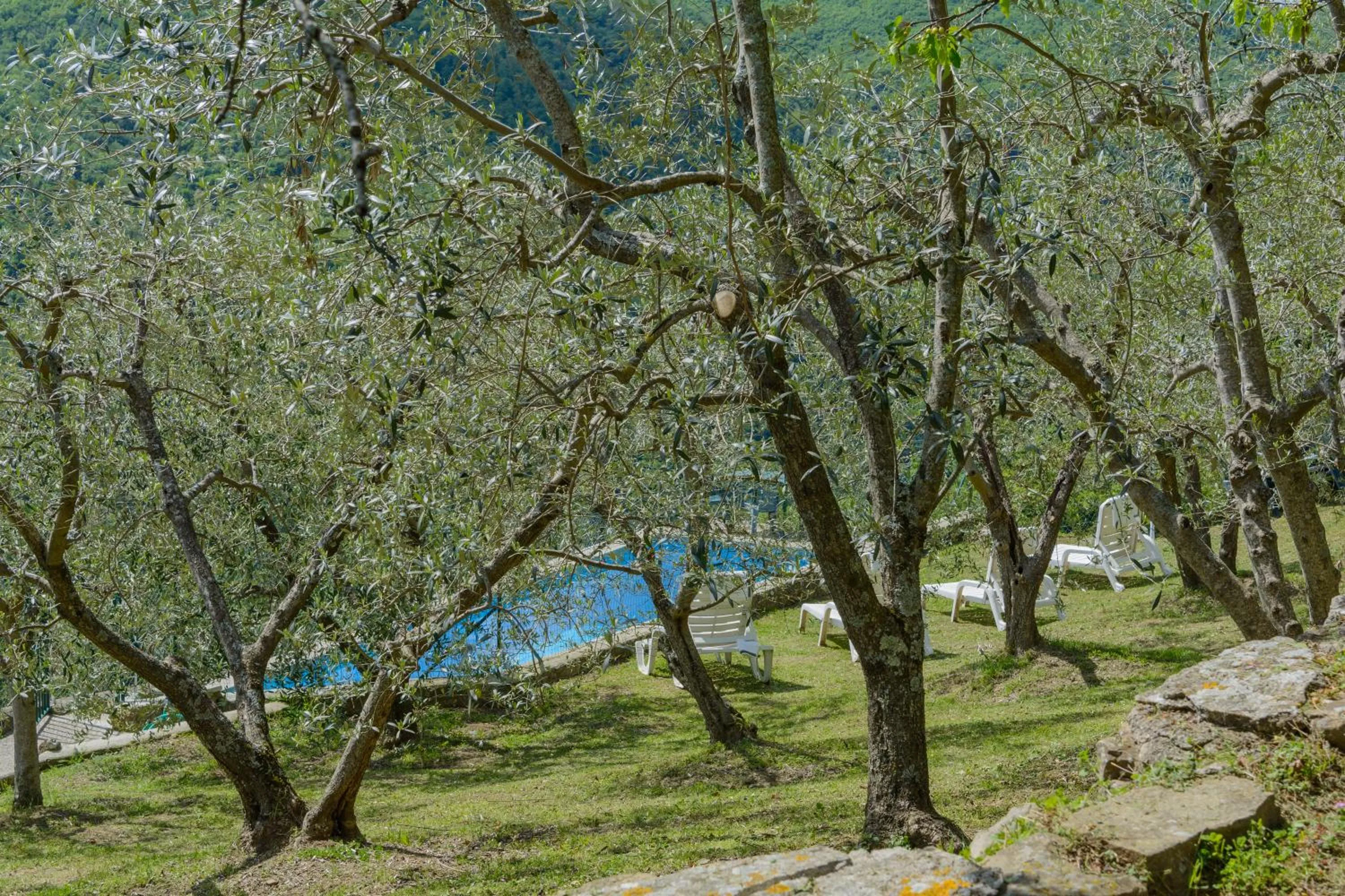 Agriturismo Casapasserini