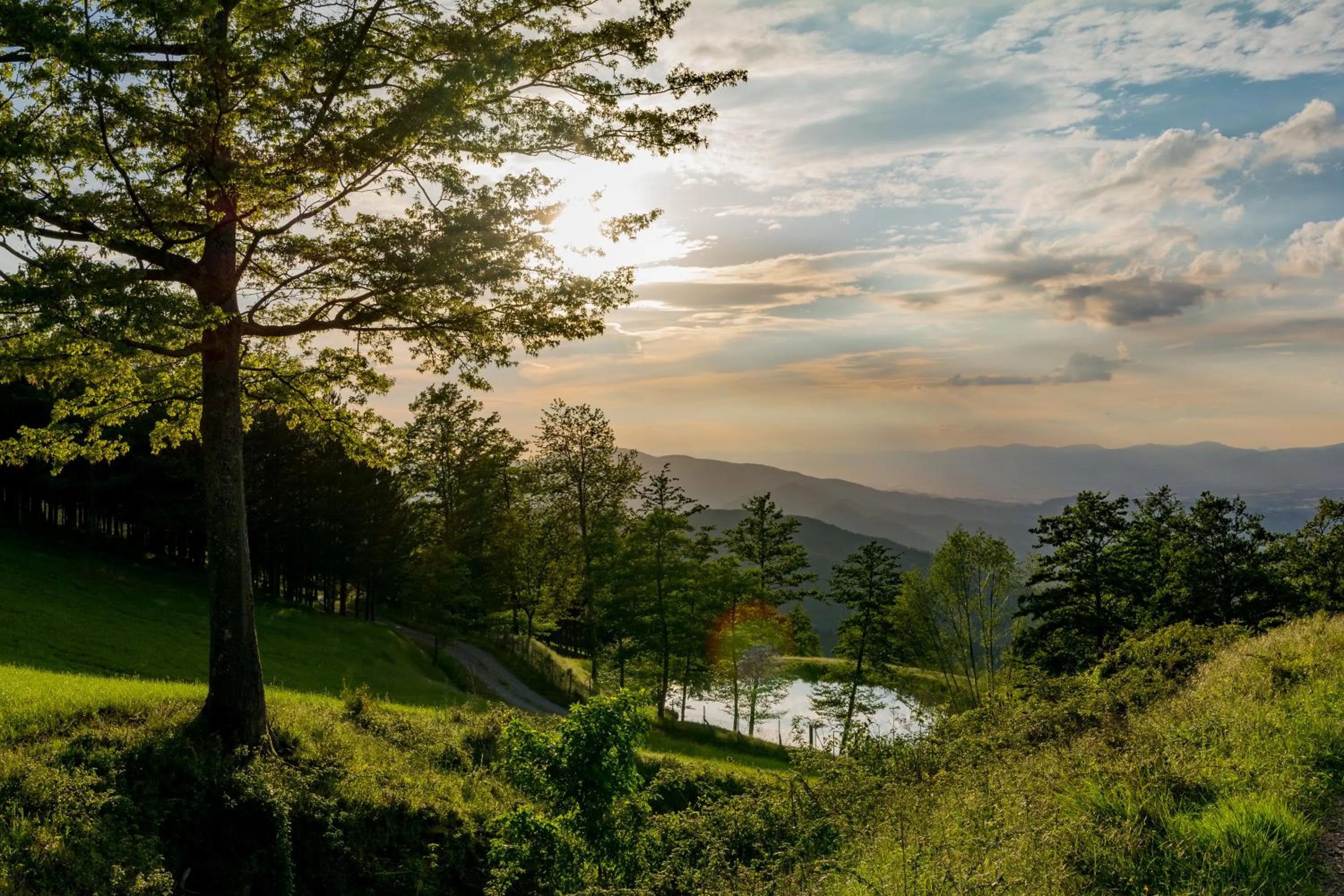 Agriturismo Casapasserini