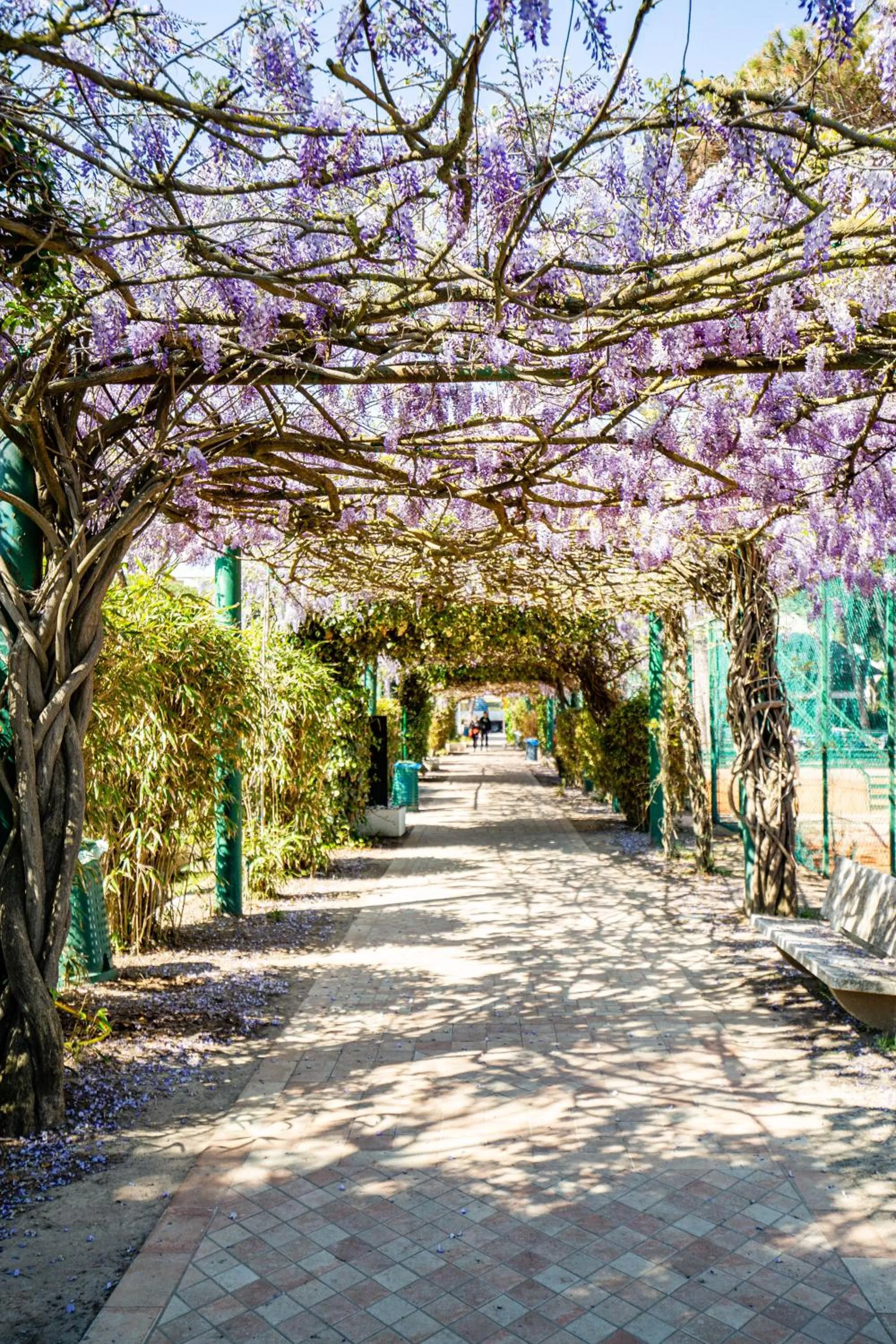 Property building in MarePineta Resort