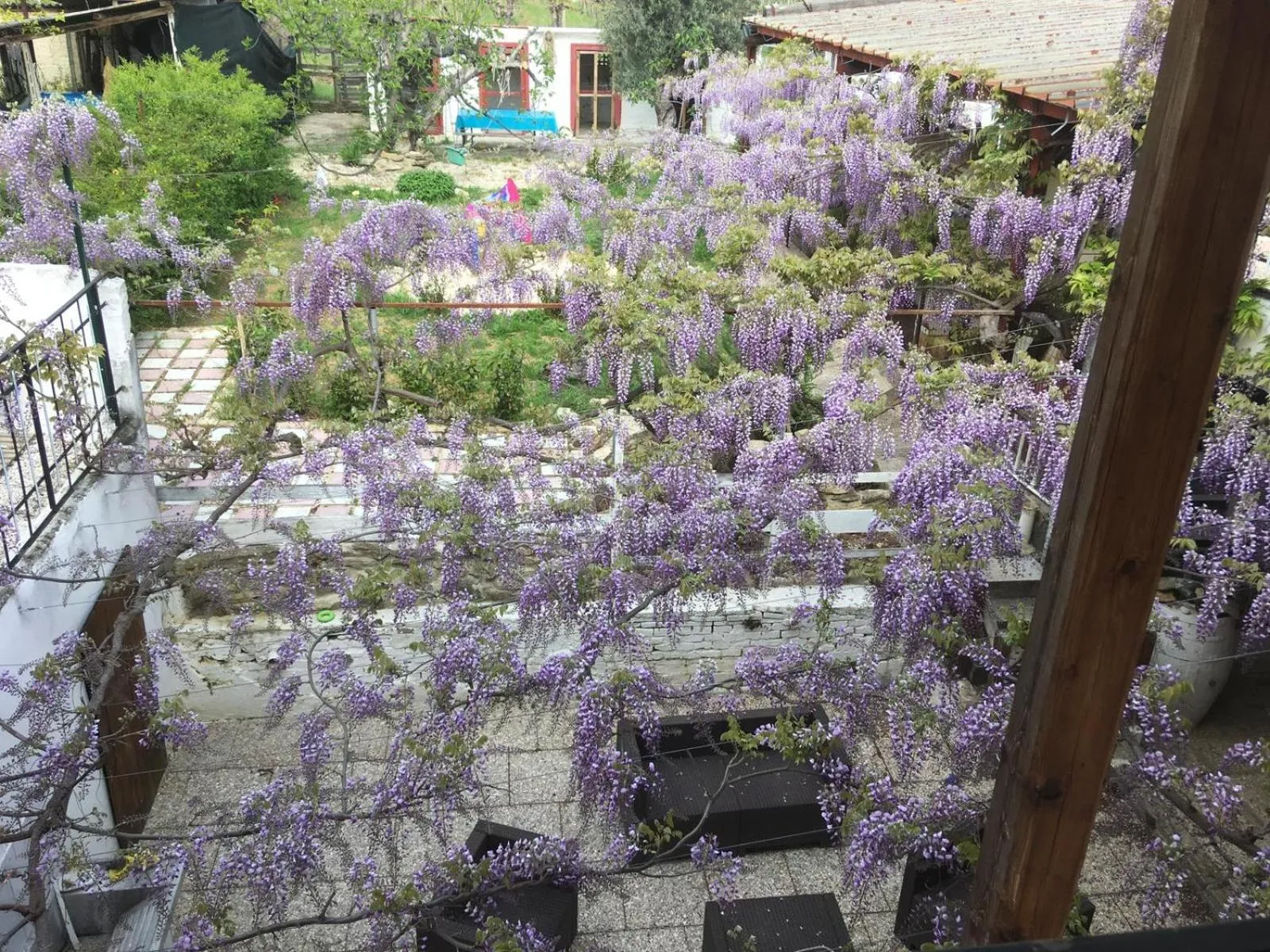 Garden in B&B Il Secolo Breve