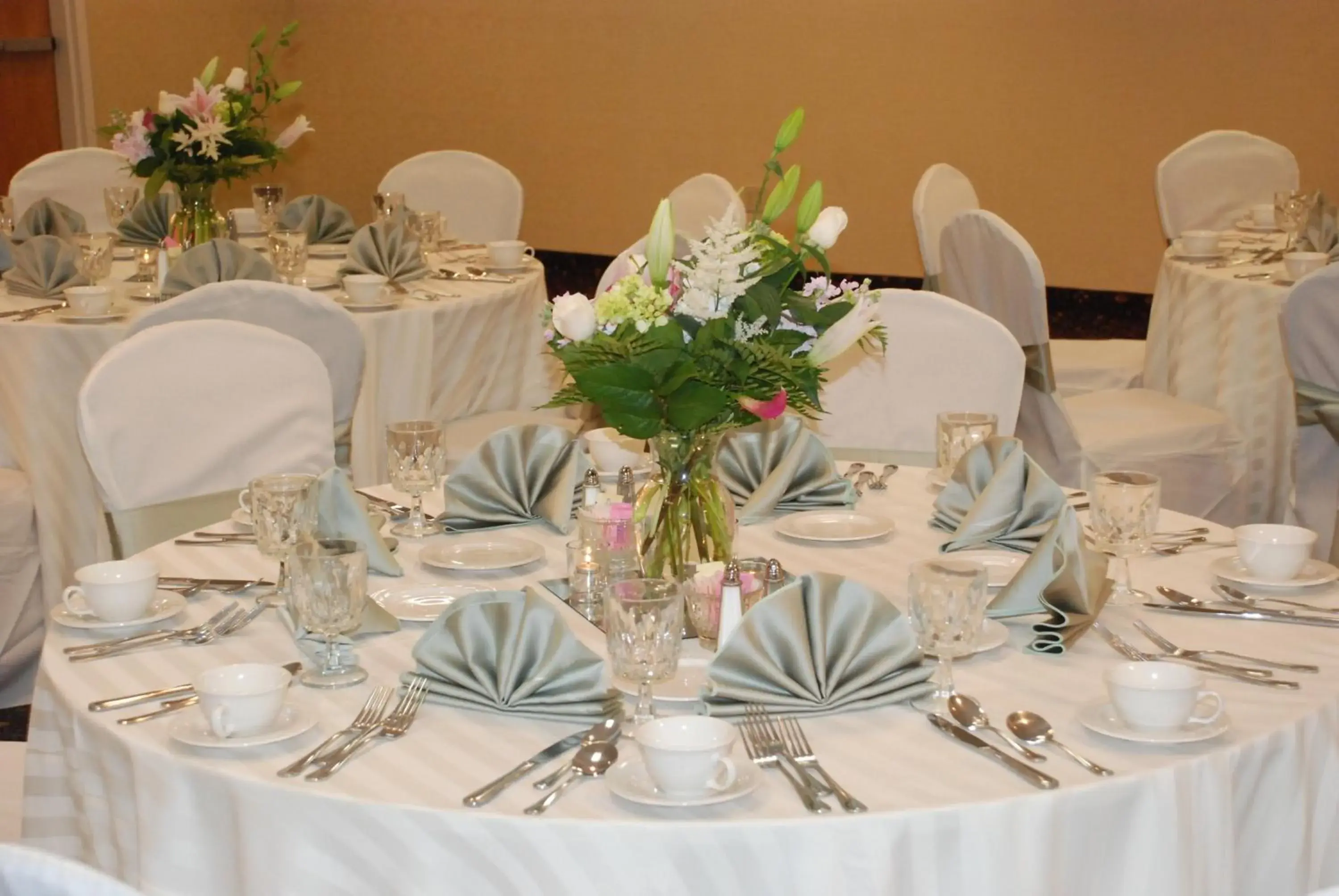 Banquet/Function facilities, Banquet Facilities in Holiday Inn & Suites Marlborough, an IHG Hotel 