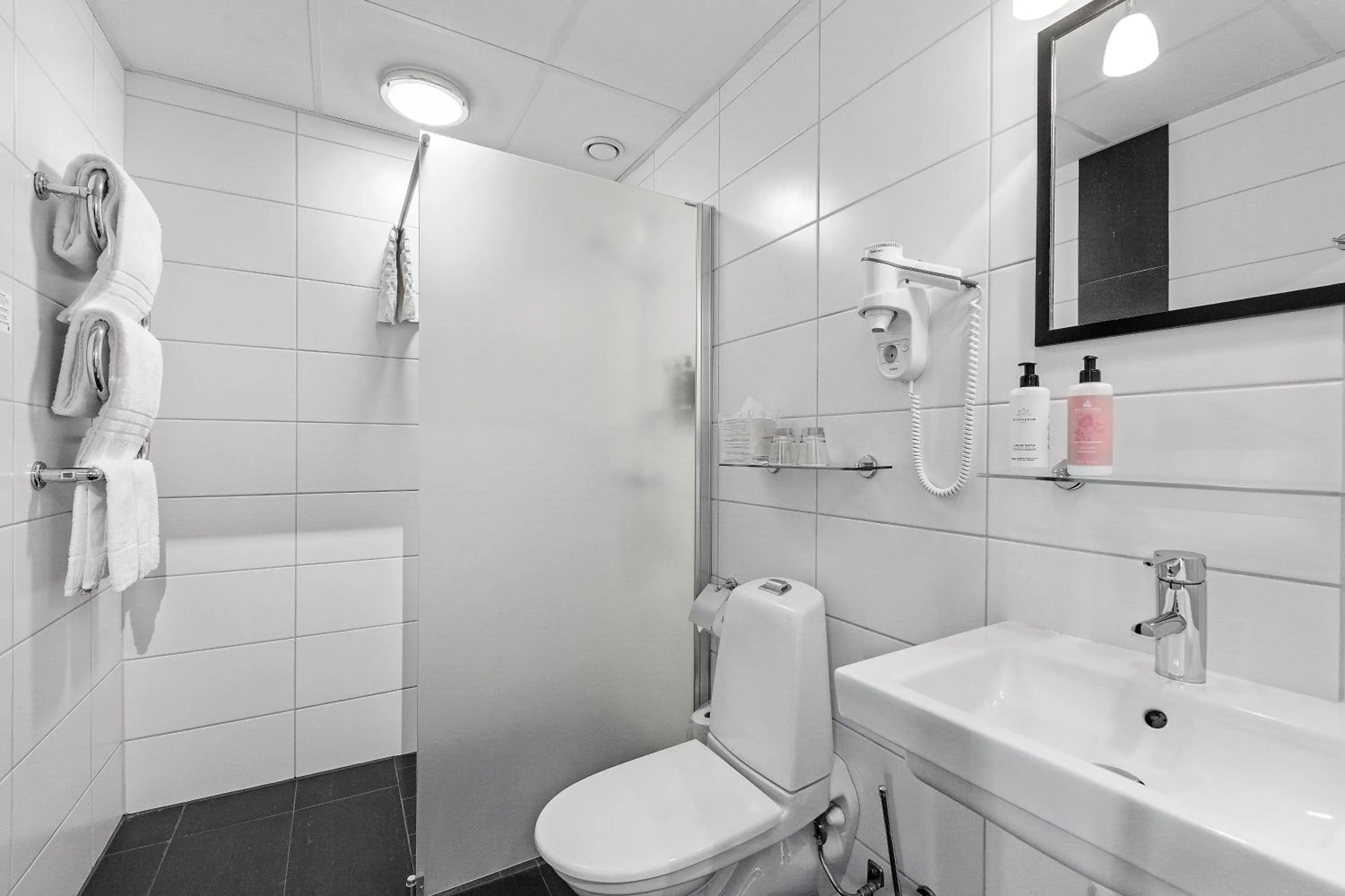 Shower in Best Western Plus Edward Hotel