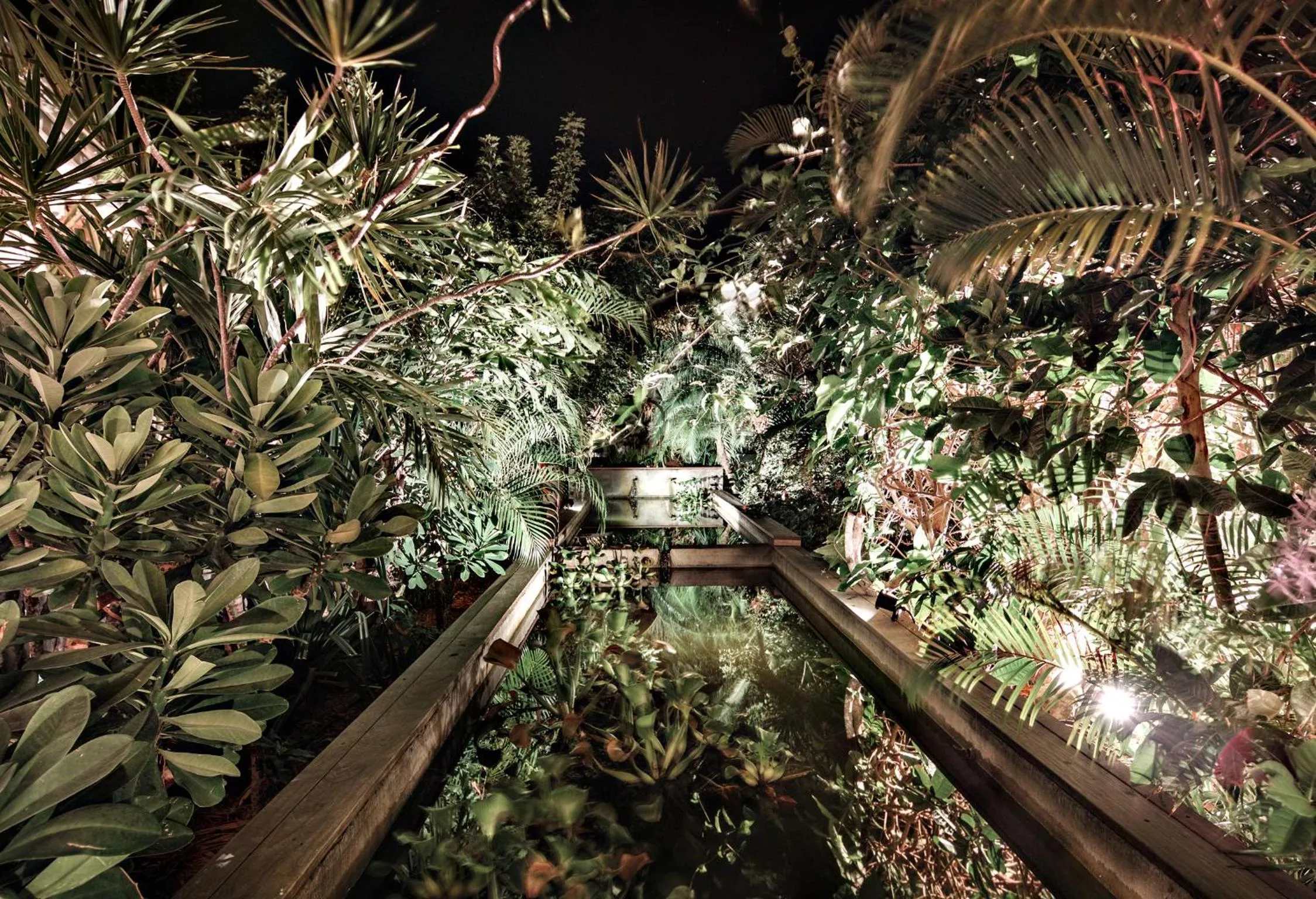 Garden in GYP SEA Saint Barth