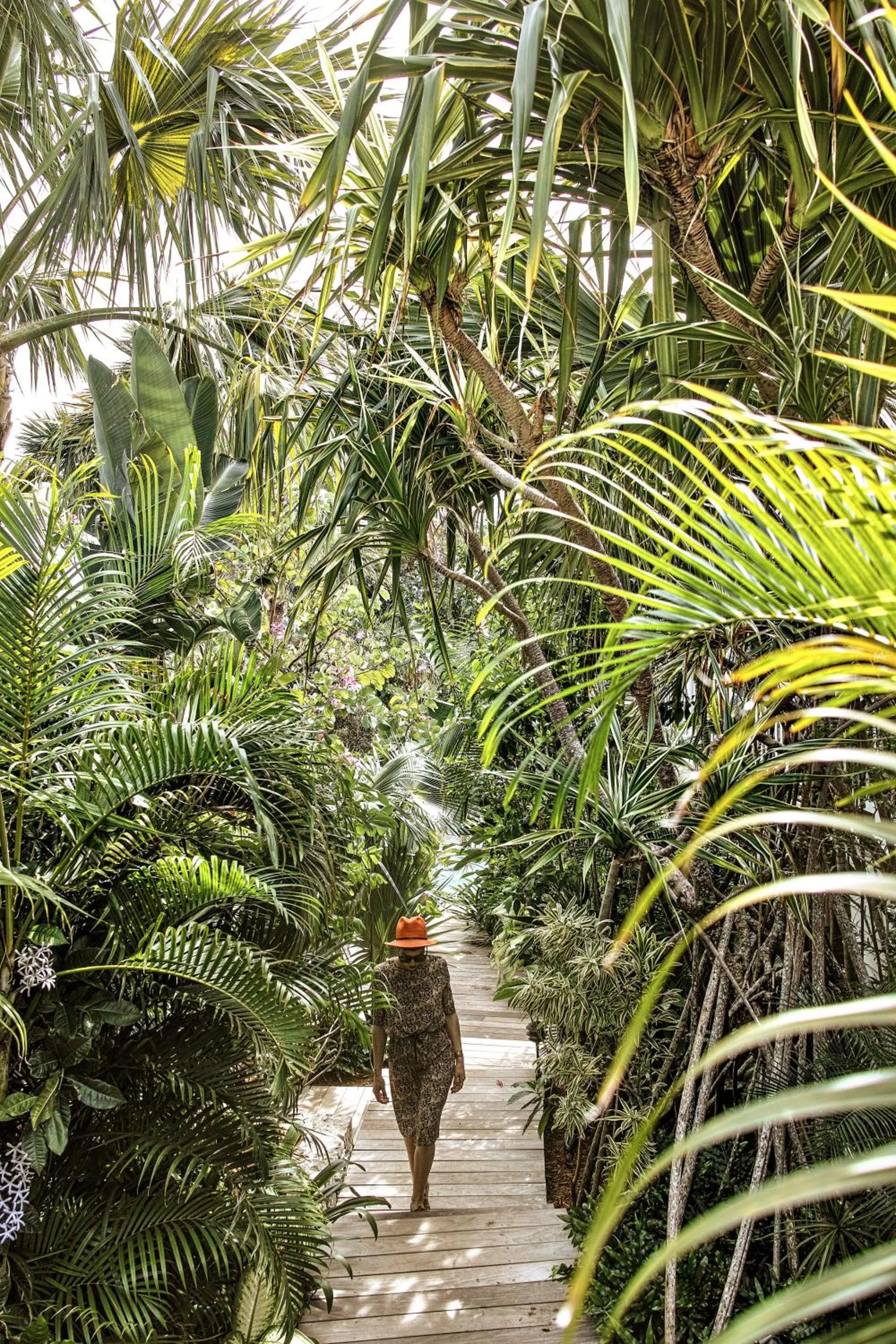 Garden in GYP SEA Saint Barth