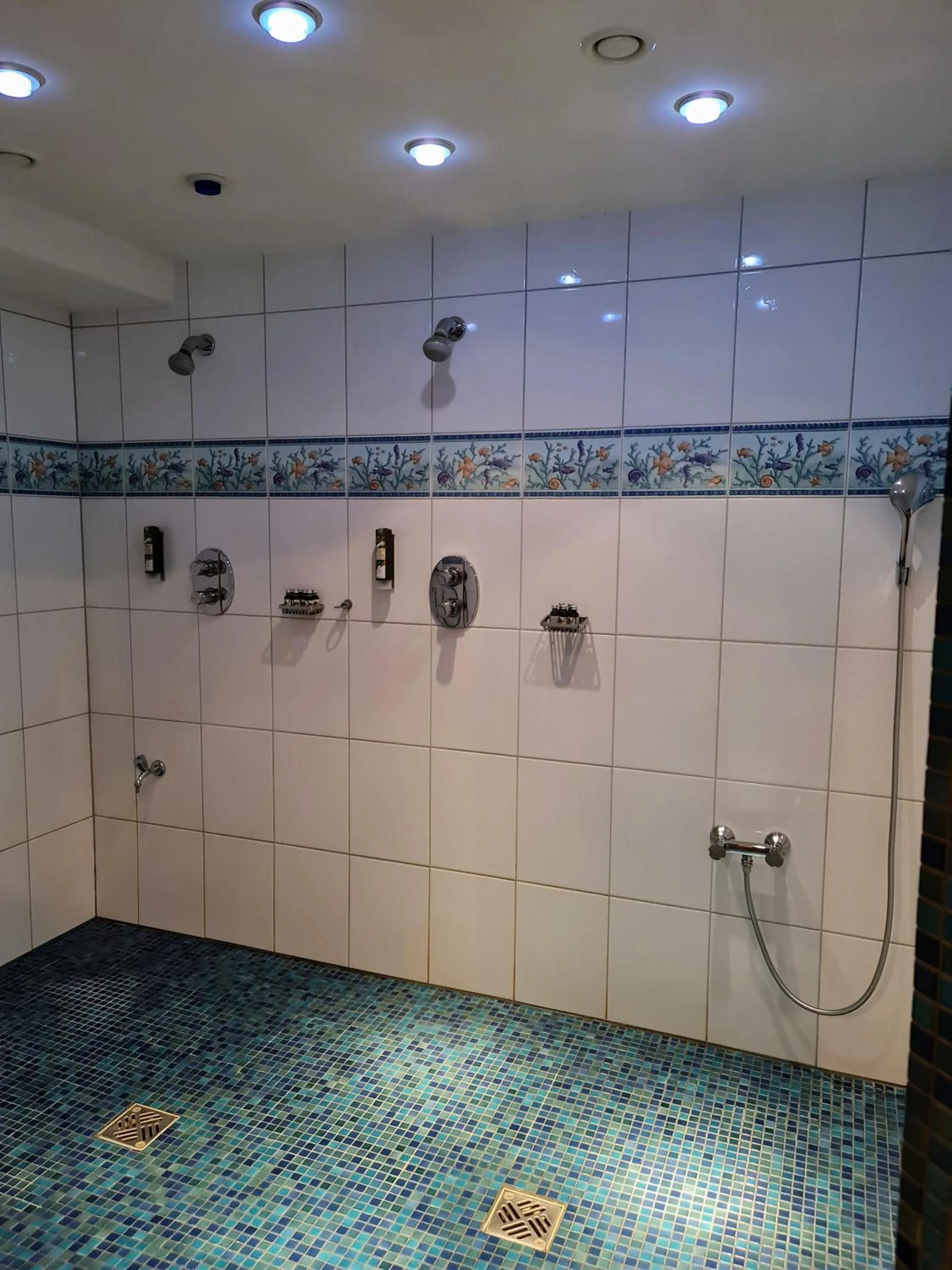 Sauna in Hotel Restaurant Felix