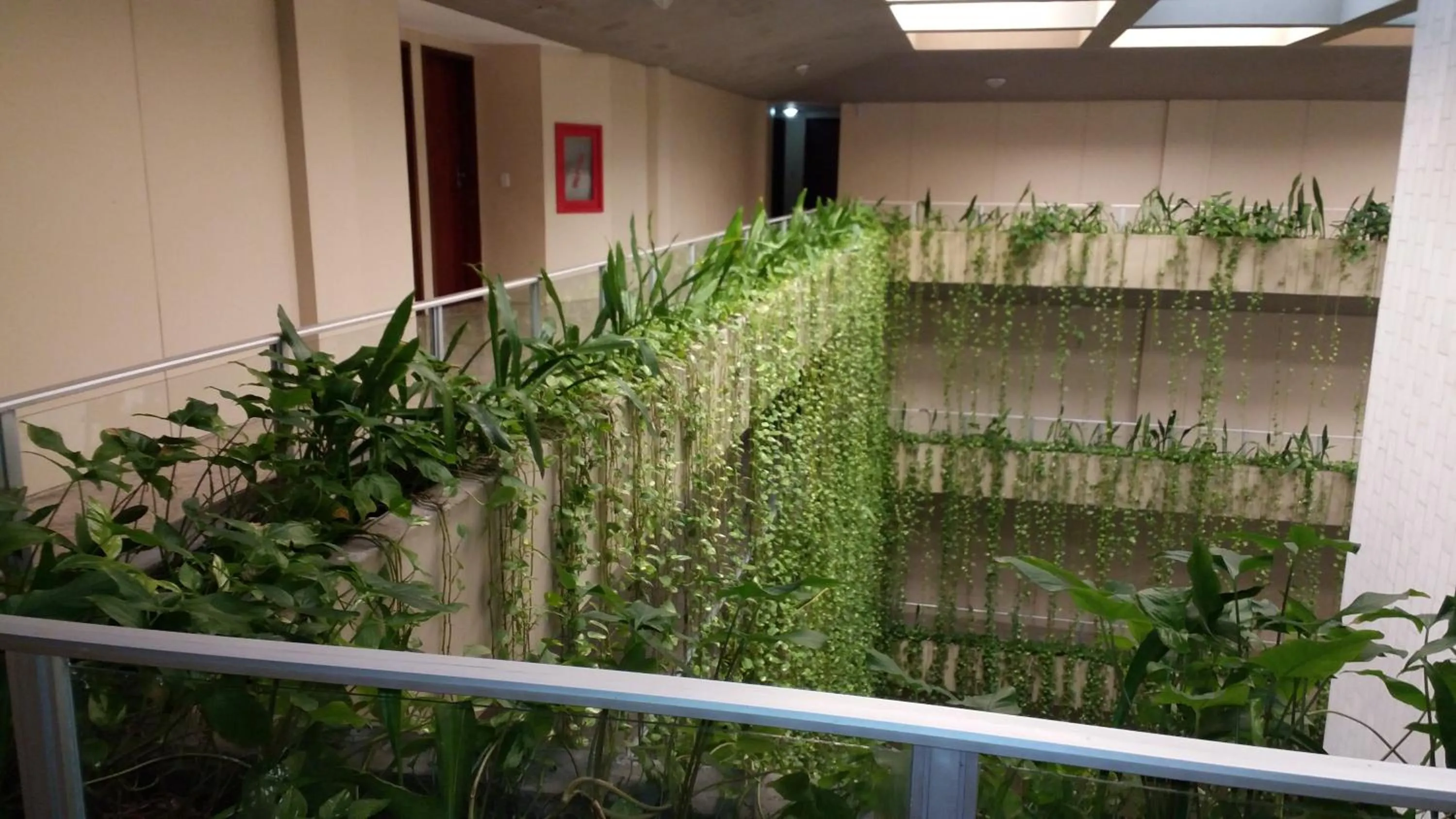 Property building in Summer Dream