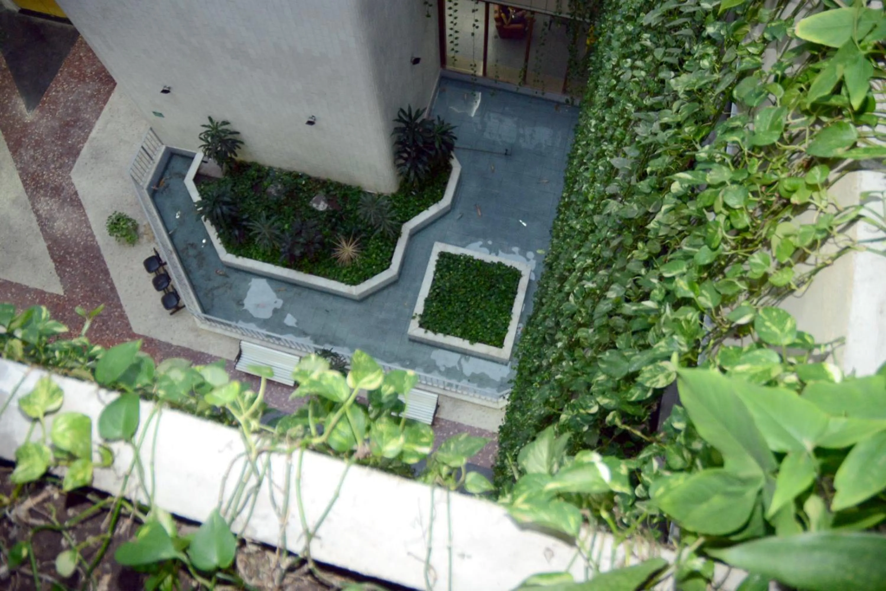 Garden view in Summer Dream