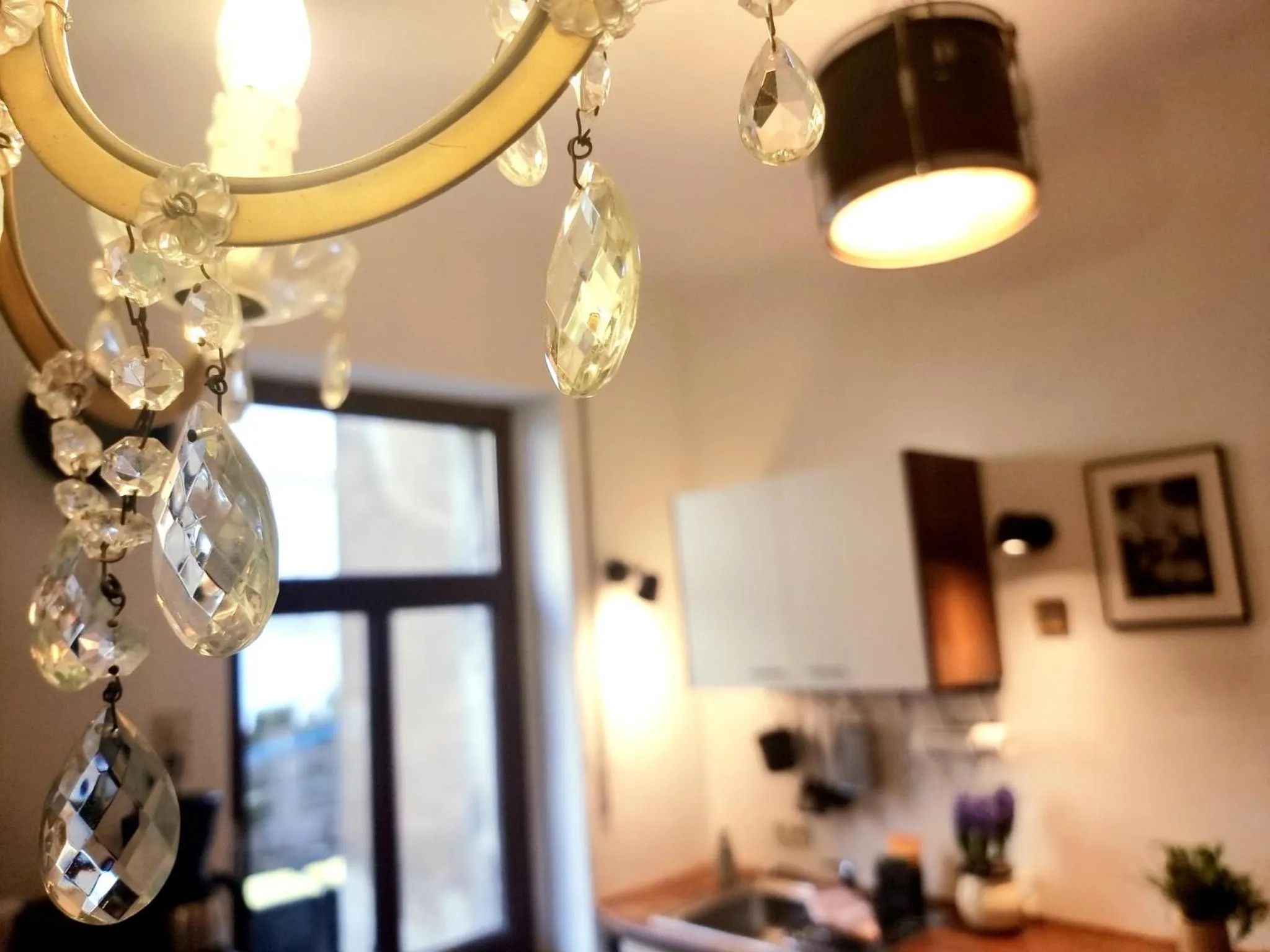 Kitchen or kitchenette in Hostel Lollis Homestay Dresden