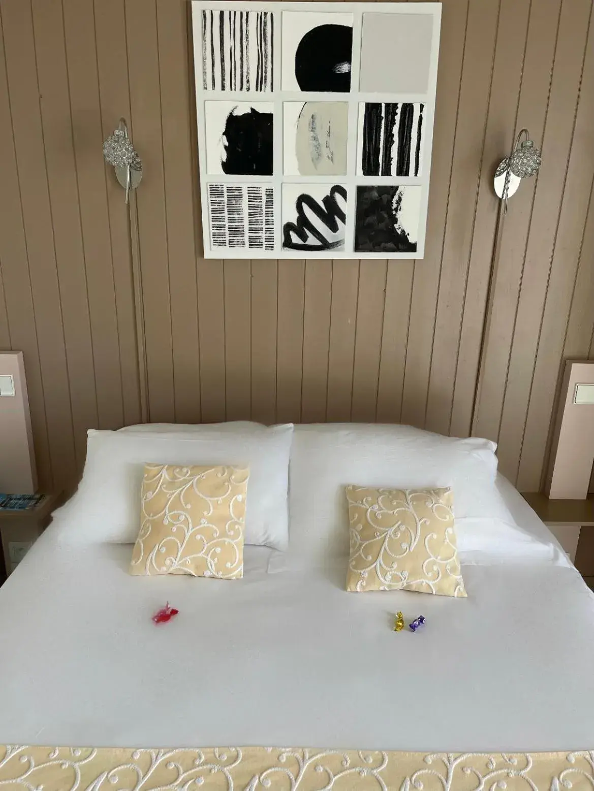 Double Room in Hôtel Côté Sud Léman Double Room in Hôtel Côté Sud Léman