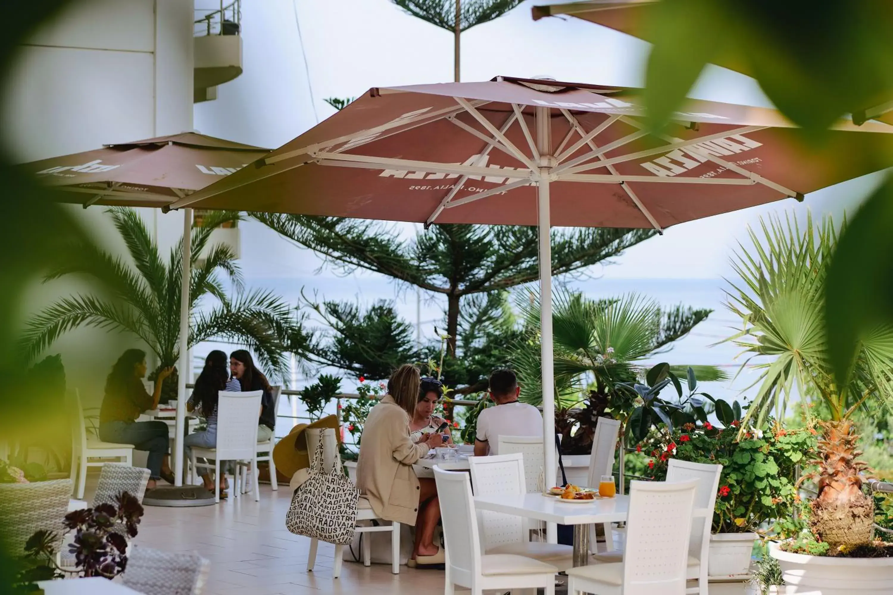 Restaurant/places to eat in Hotel Oasis Restaurant/places to eat in Hotel Oasis