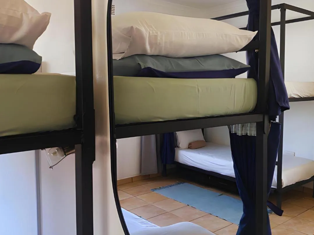 Bed in Kate's Nest Guesthouse & Backpackers