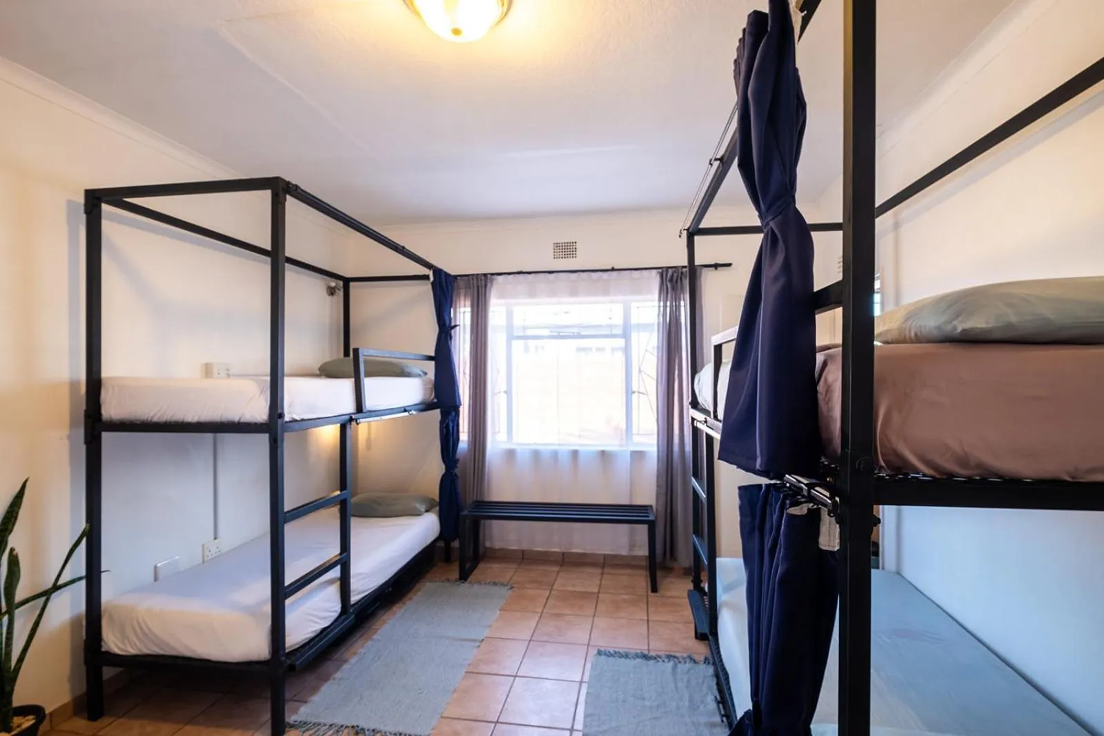 bunk bed, Bed in Kate's Nest Guesthouse & Backpackers