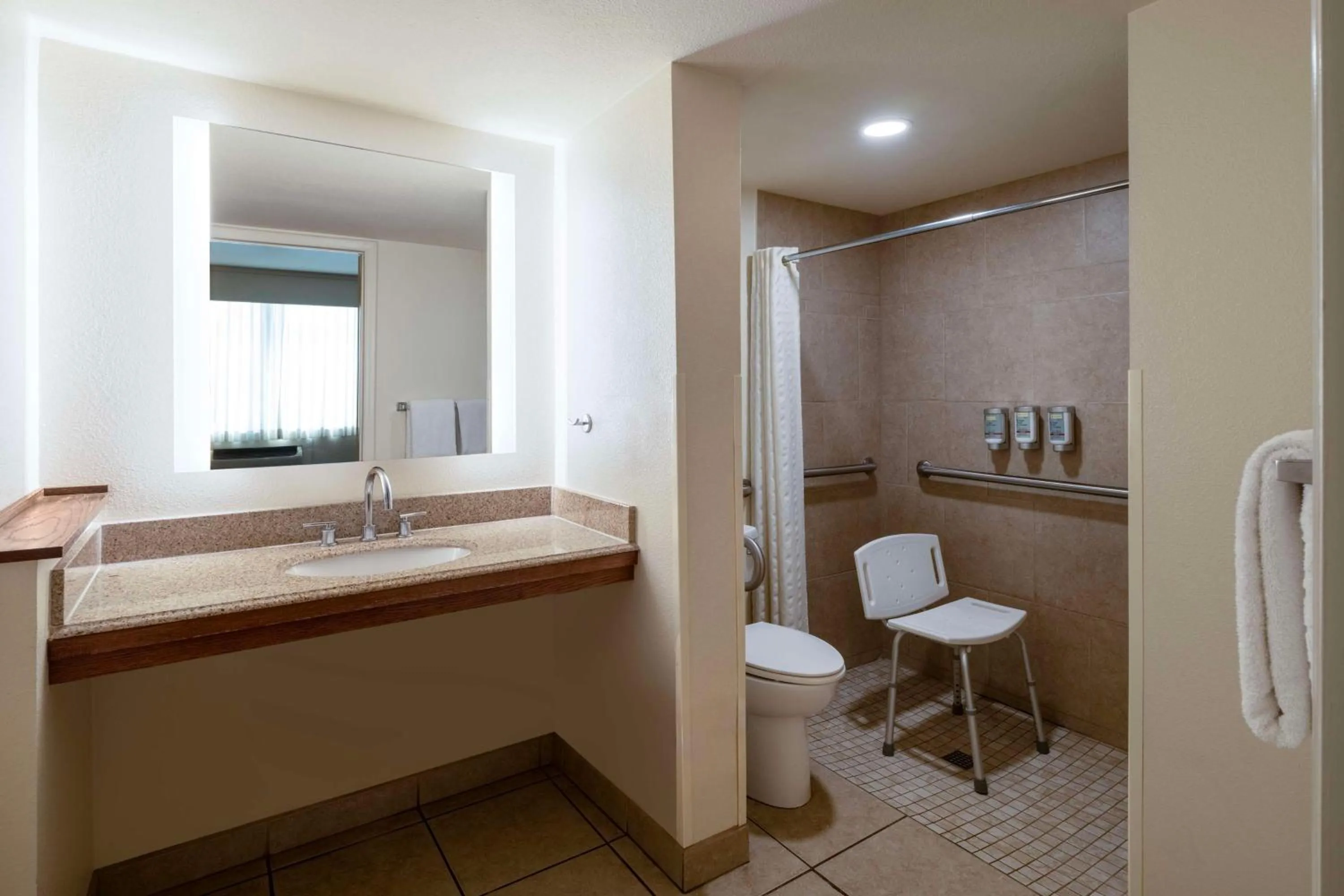 Bathroom in Best Western Pony Soldier Inn & Suites