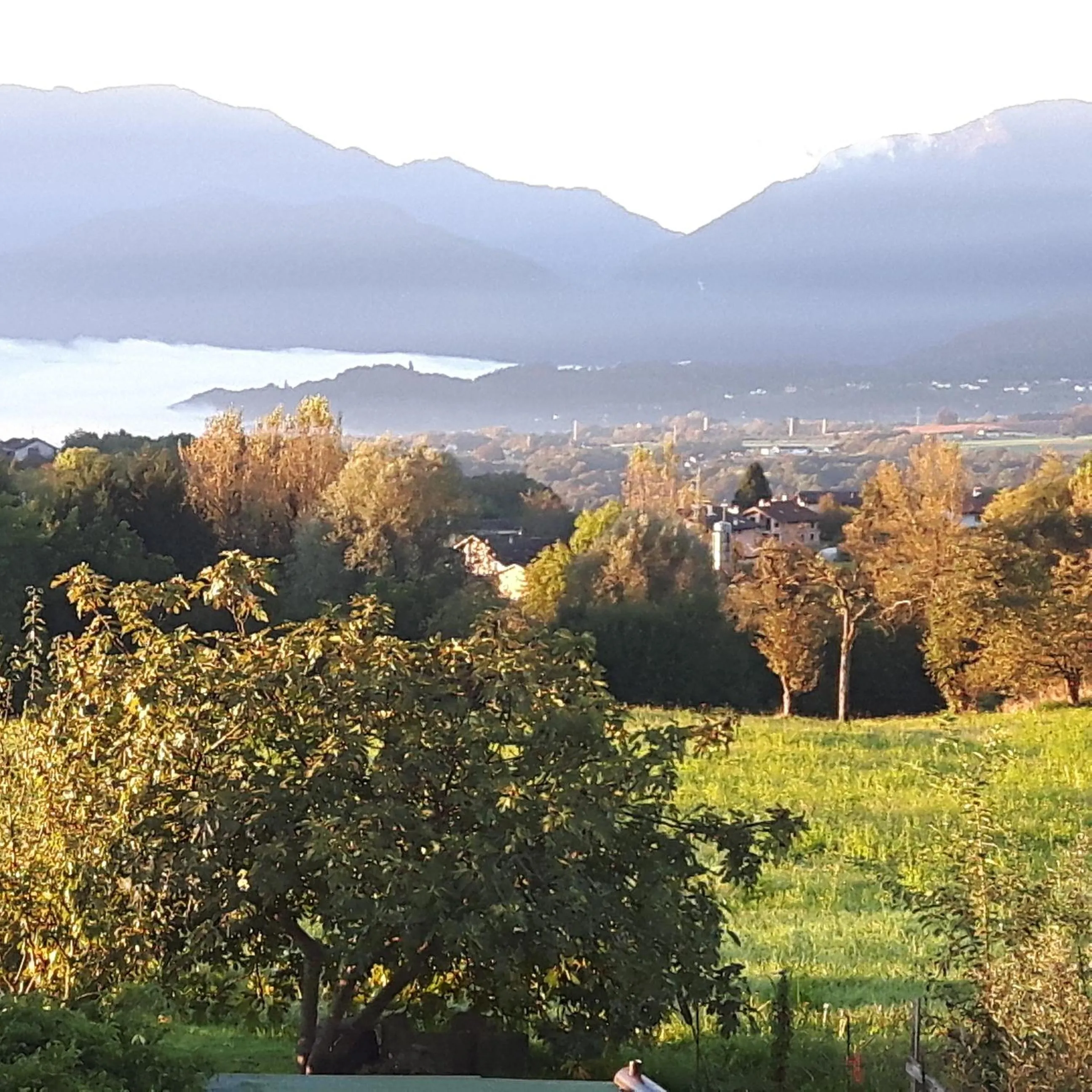 View (from property/room) in Green Rose