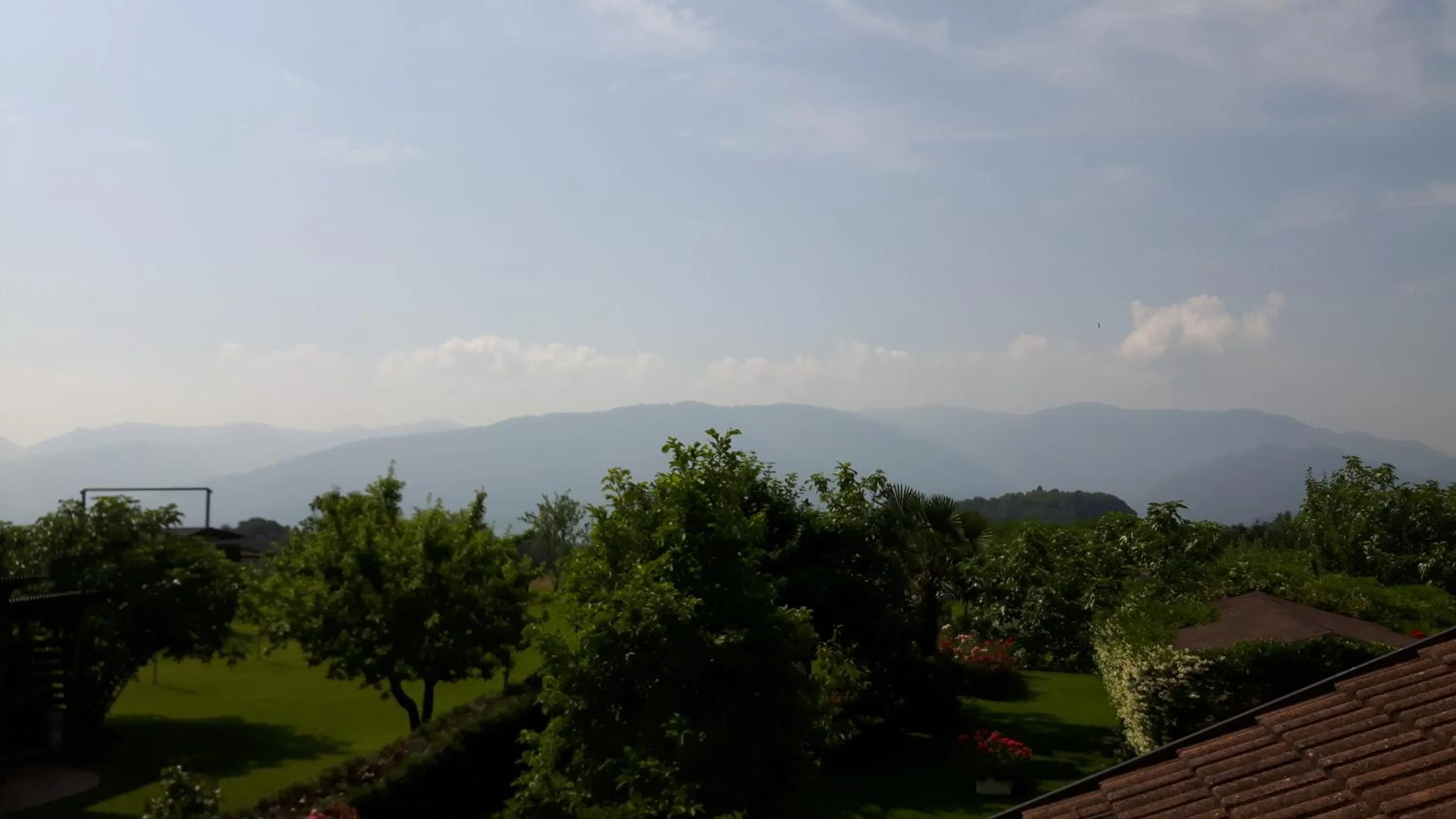 Garden view in Green Rose