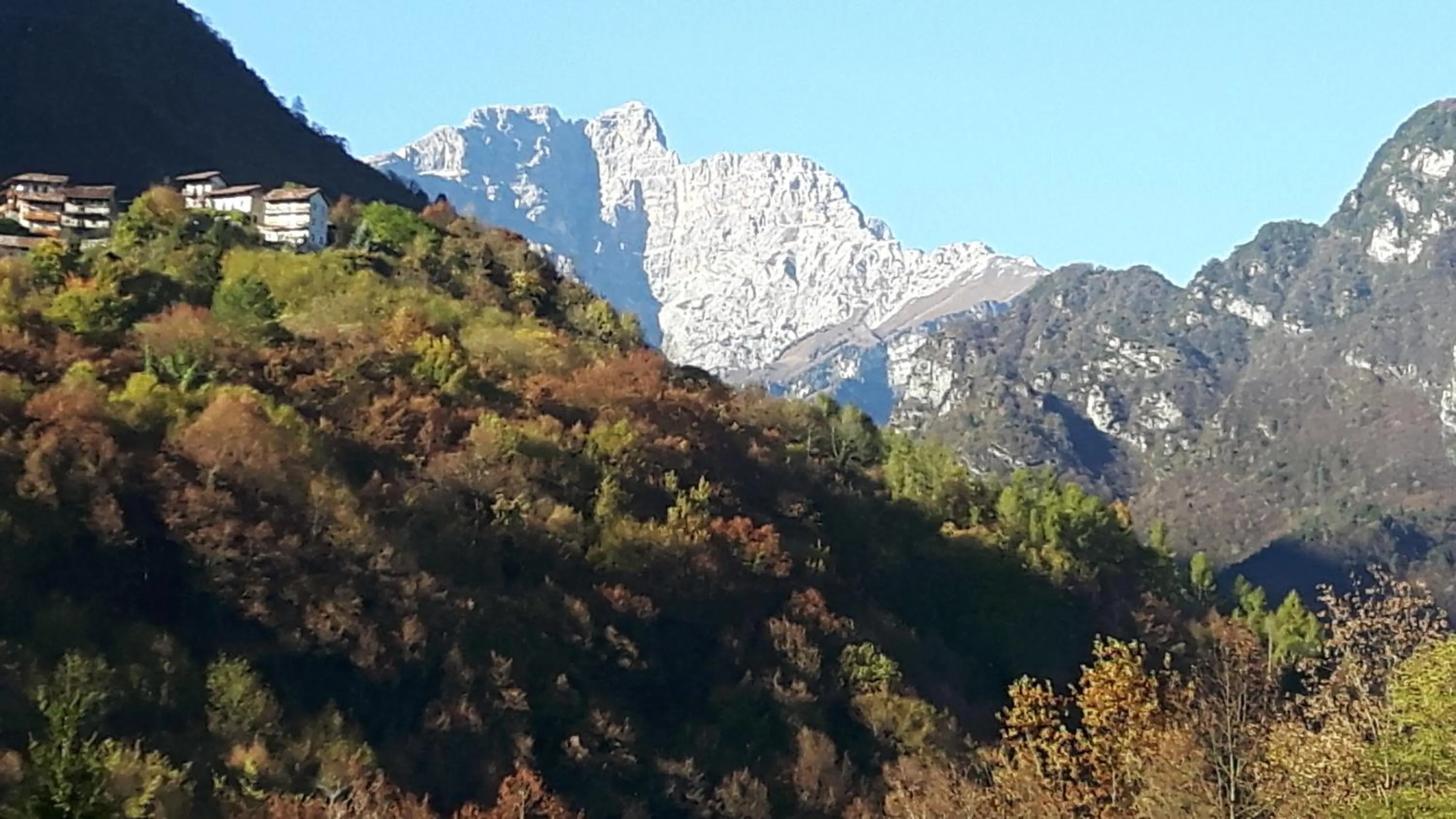 Nearby landmark in Green Rose