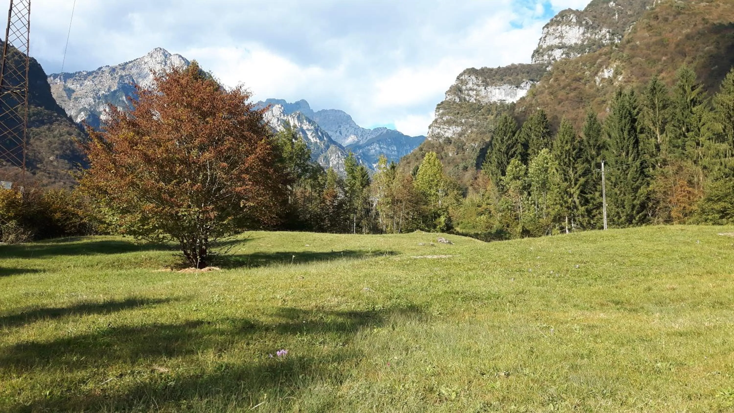 Nearby landmark in Green Rose