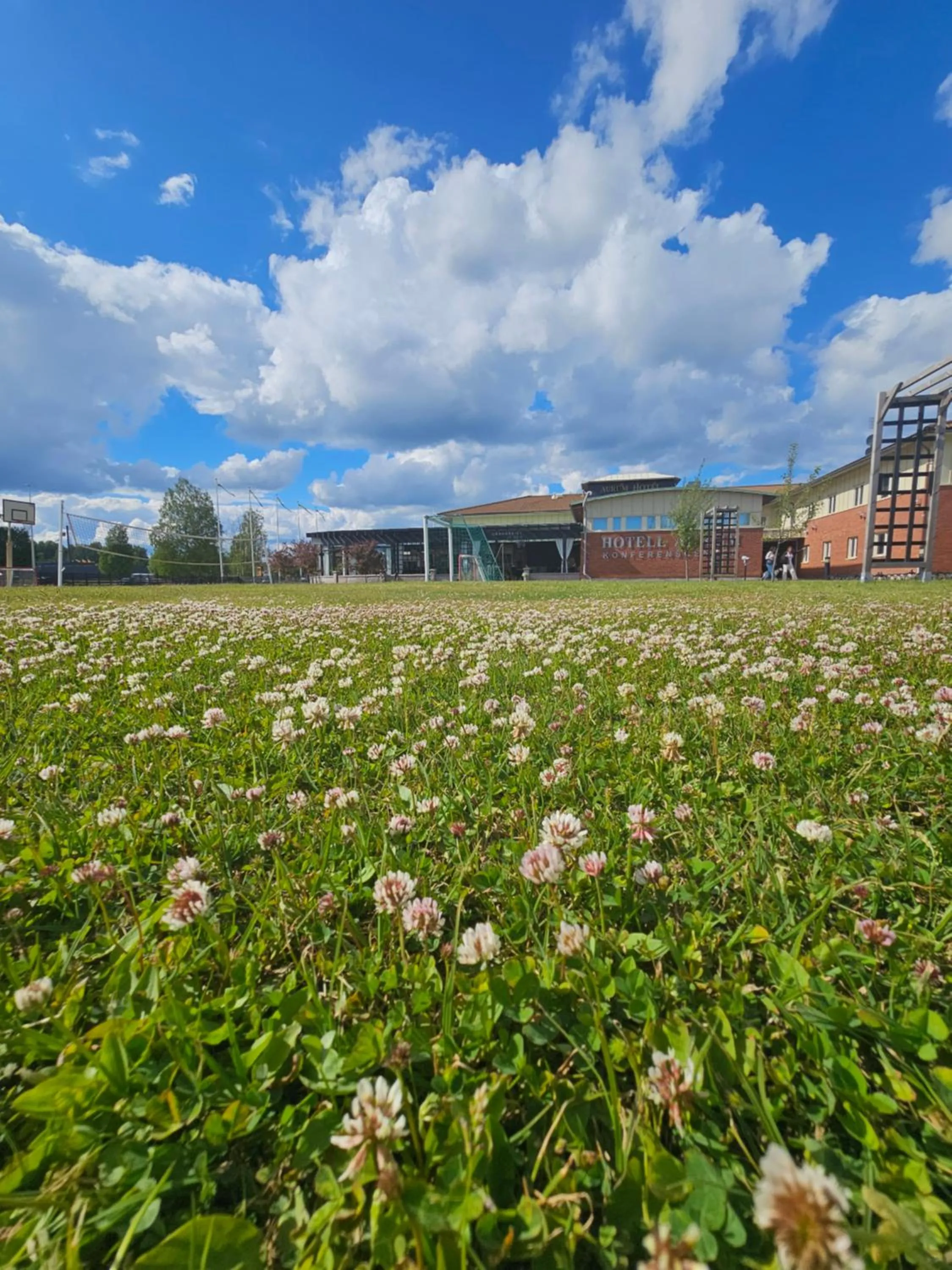 Activities in Aurum Hotel