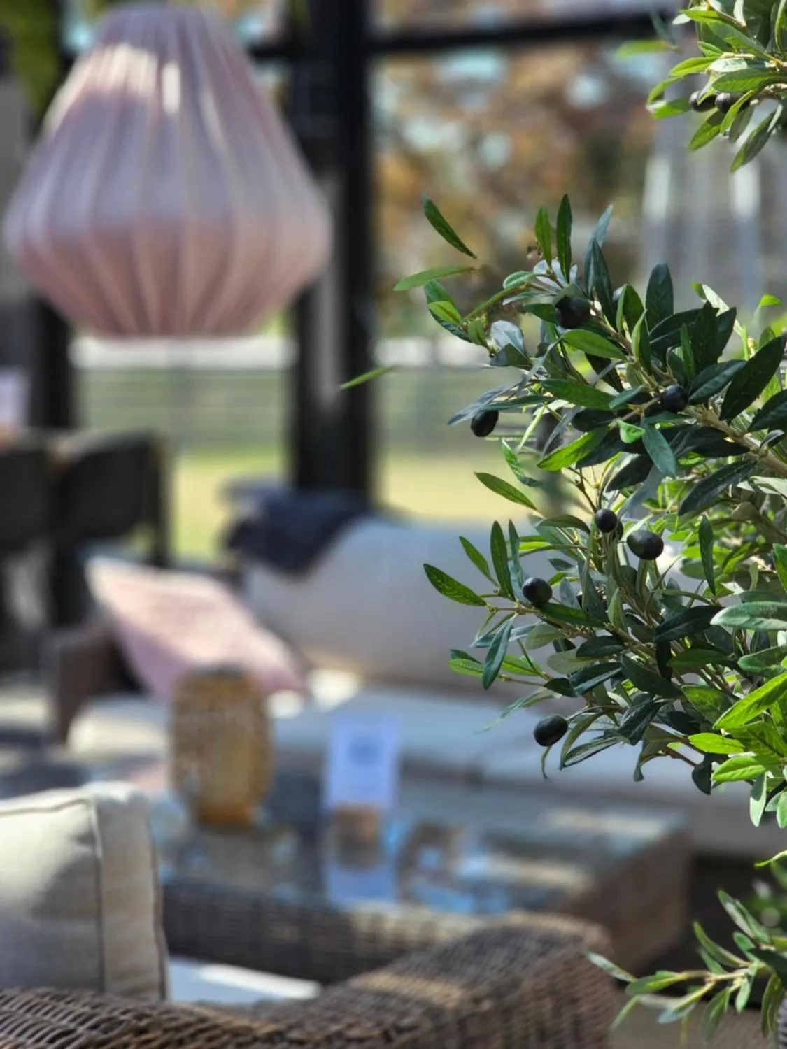 Restaurant/places to eat in Aurum Hotel