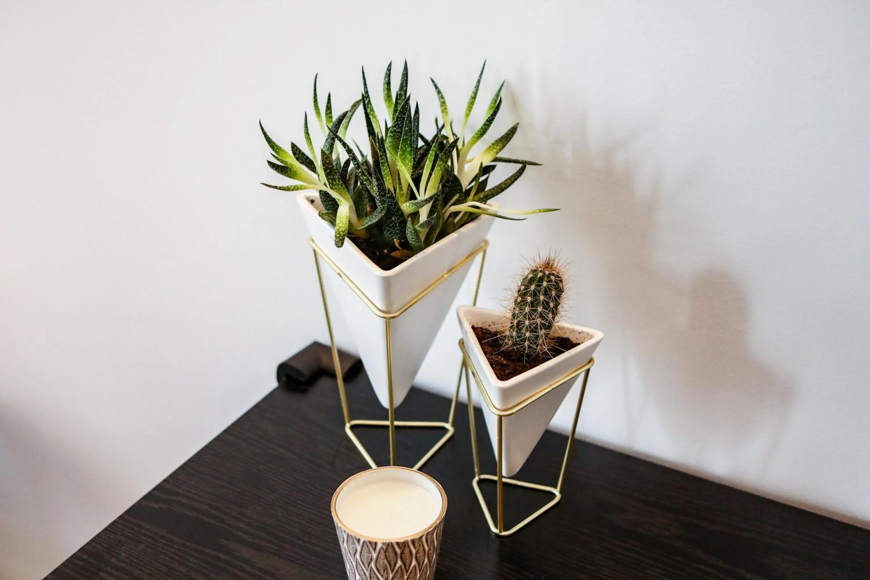 Decorative detail in Materdays 24