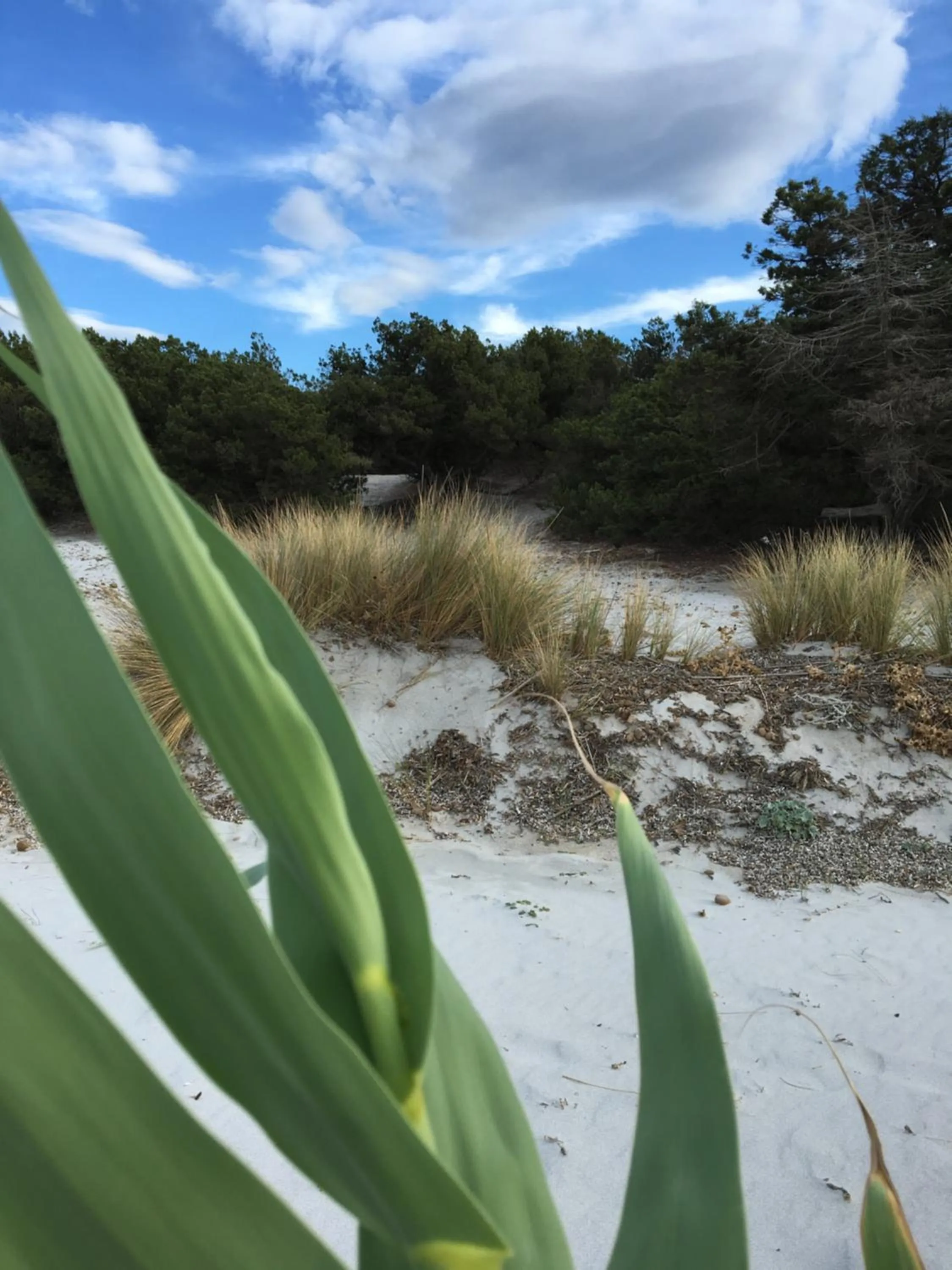 Suite cucinino, bagno, ingresso indipendente in" Villa VìVì"