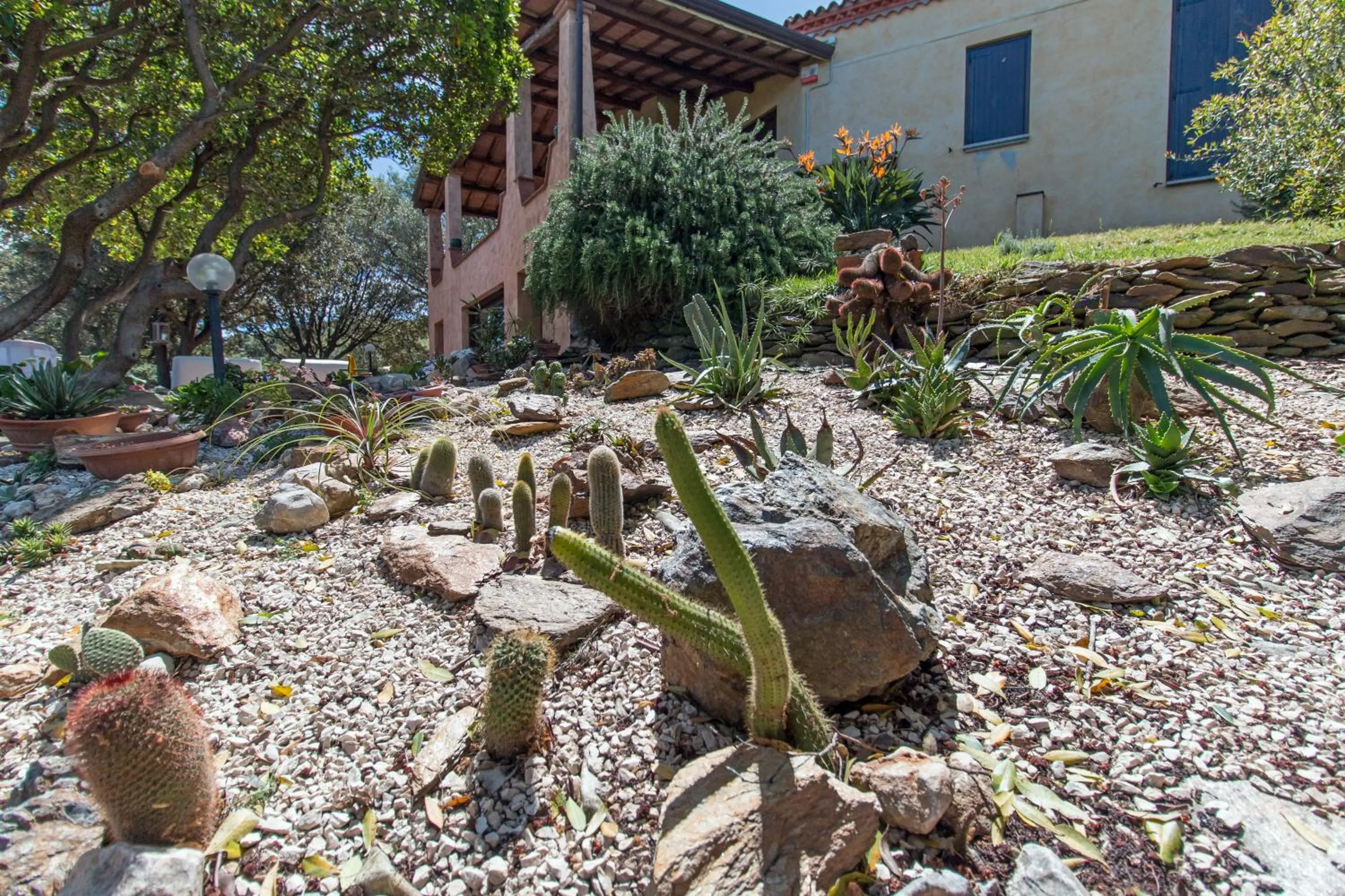 Garden view in Suite cucinino, bagno, ingresso indipendente in" Villa VìVì"