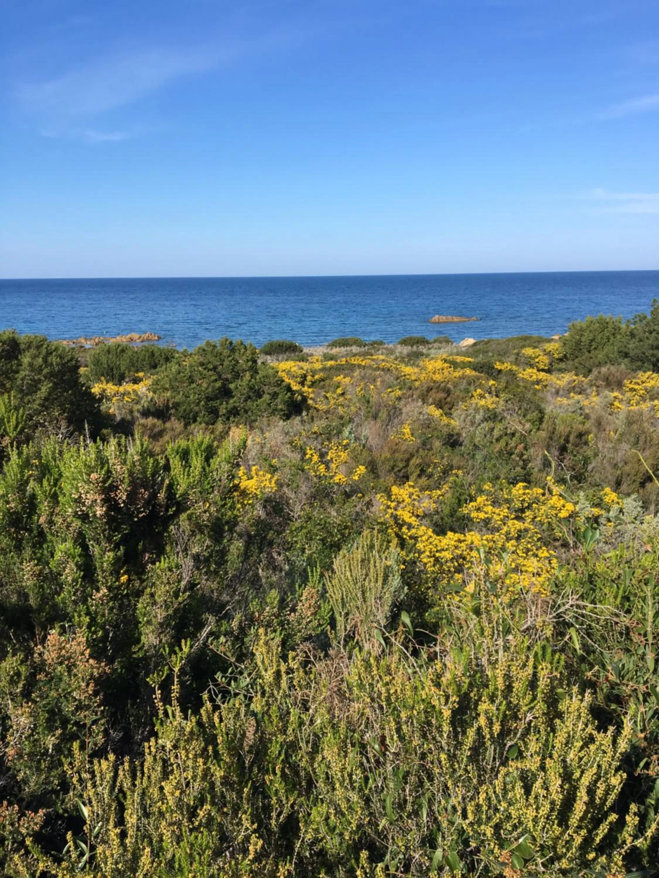 Fishing in Suite cucinino, bagno, ingresso indipendente in" Villa VìVì"