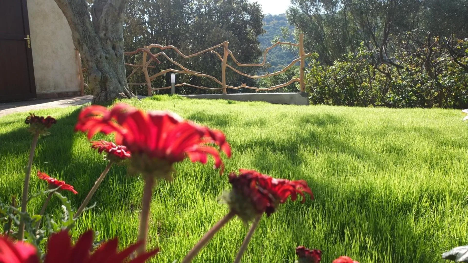 Garden in Suite cucinino, bagno, ingresso indipendente in" Villa VìVì"