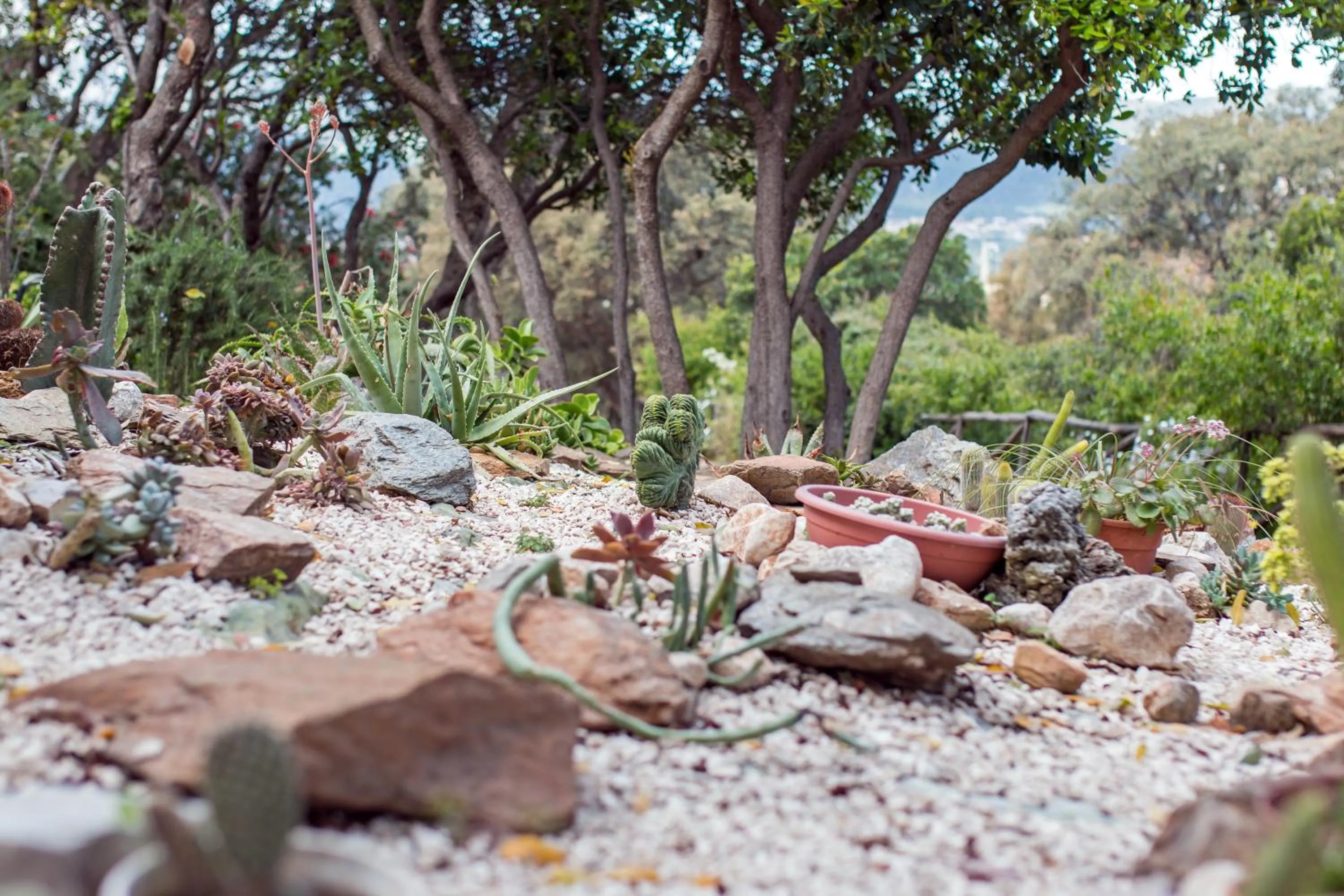 Suite cucinino, bagno, ingresso indipendente in" Villa VìVì"