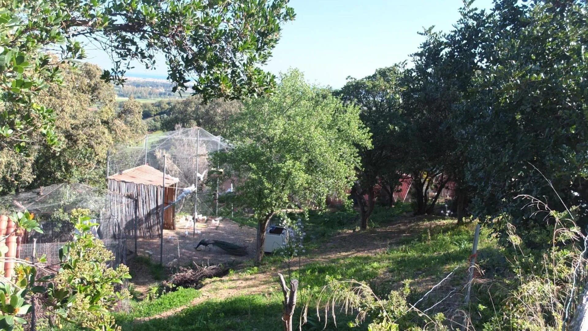 Garden in Suite cucinino, bagno, ingresso indipendente in" Villa VìVì"