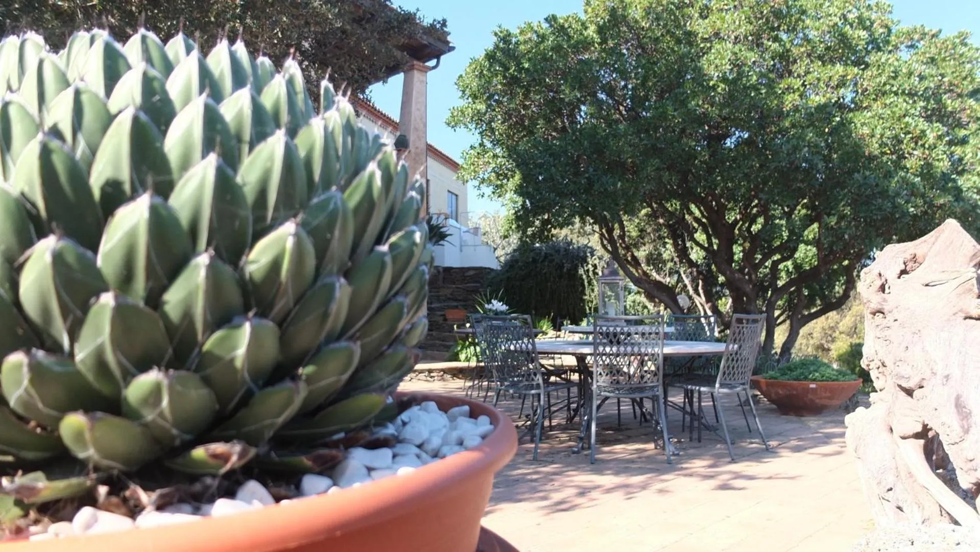 Garden in Suite cucinino, bagno, ingresso indipendente in" Villa VìVì"