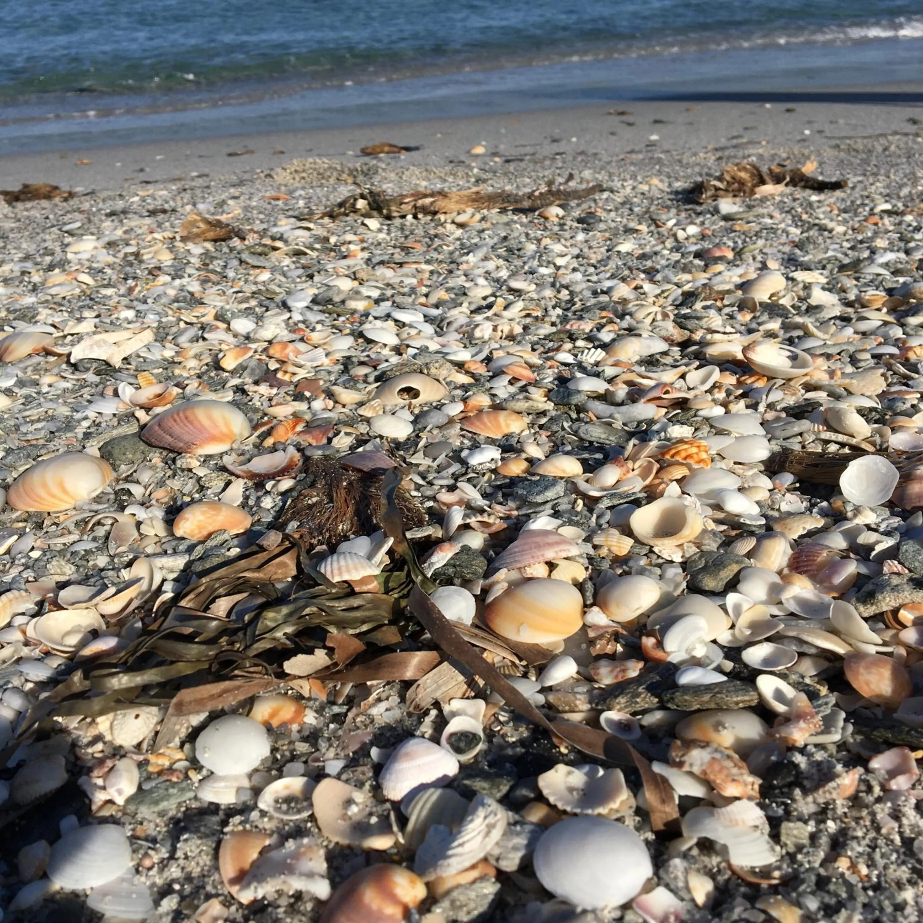 Fishing in Suite cucinino, bagno, ingresso indipendente in" Villa VìVì"