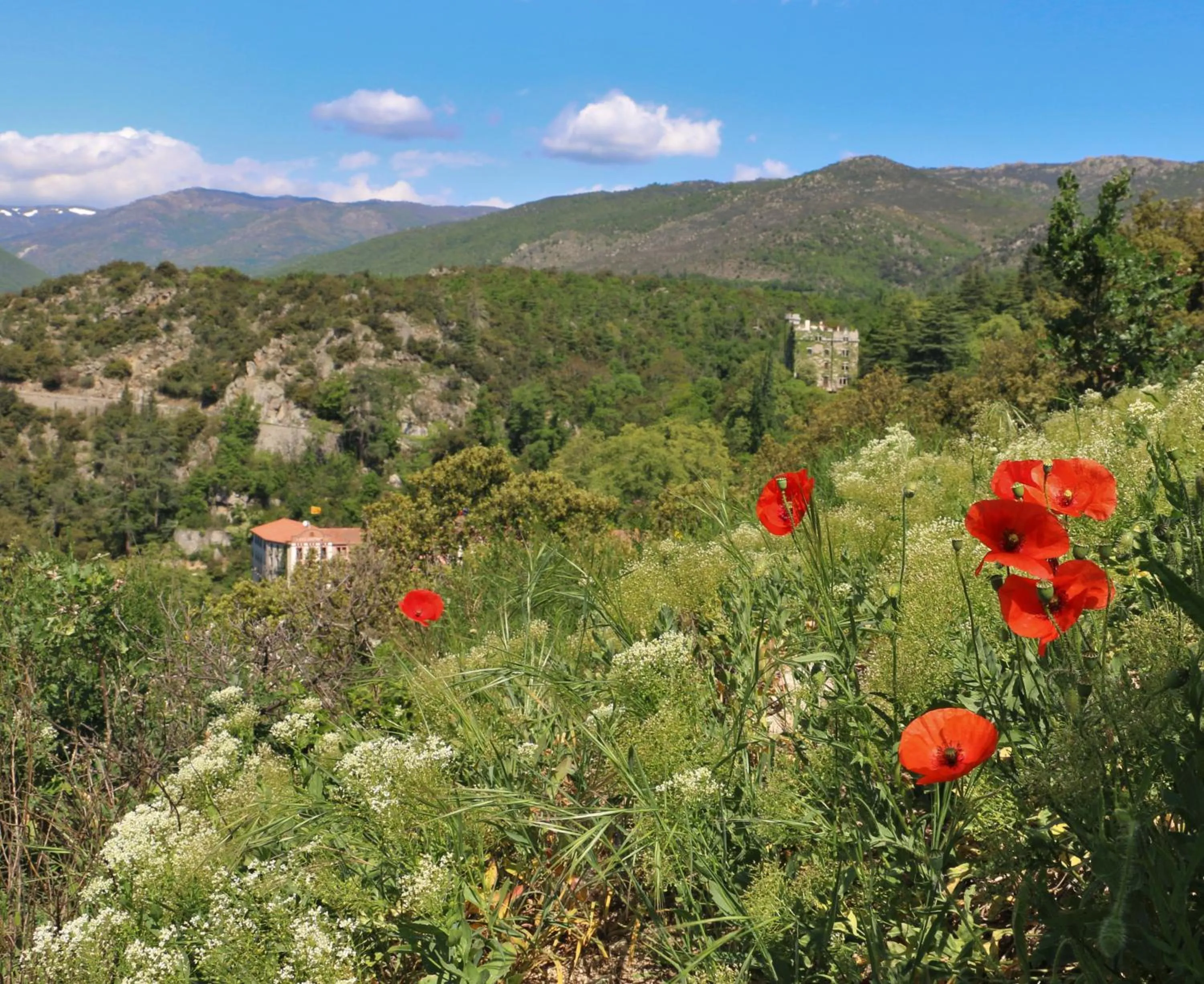 Natural landscape in Le Grand Hôtel