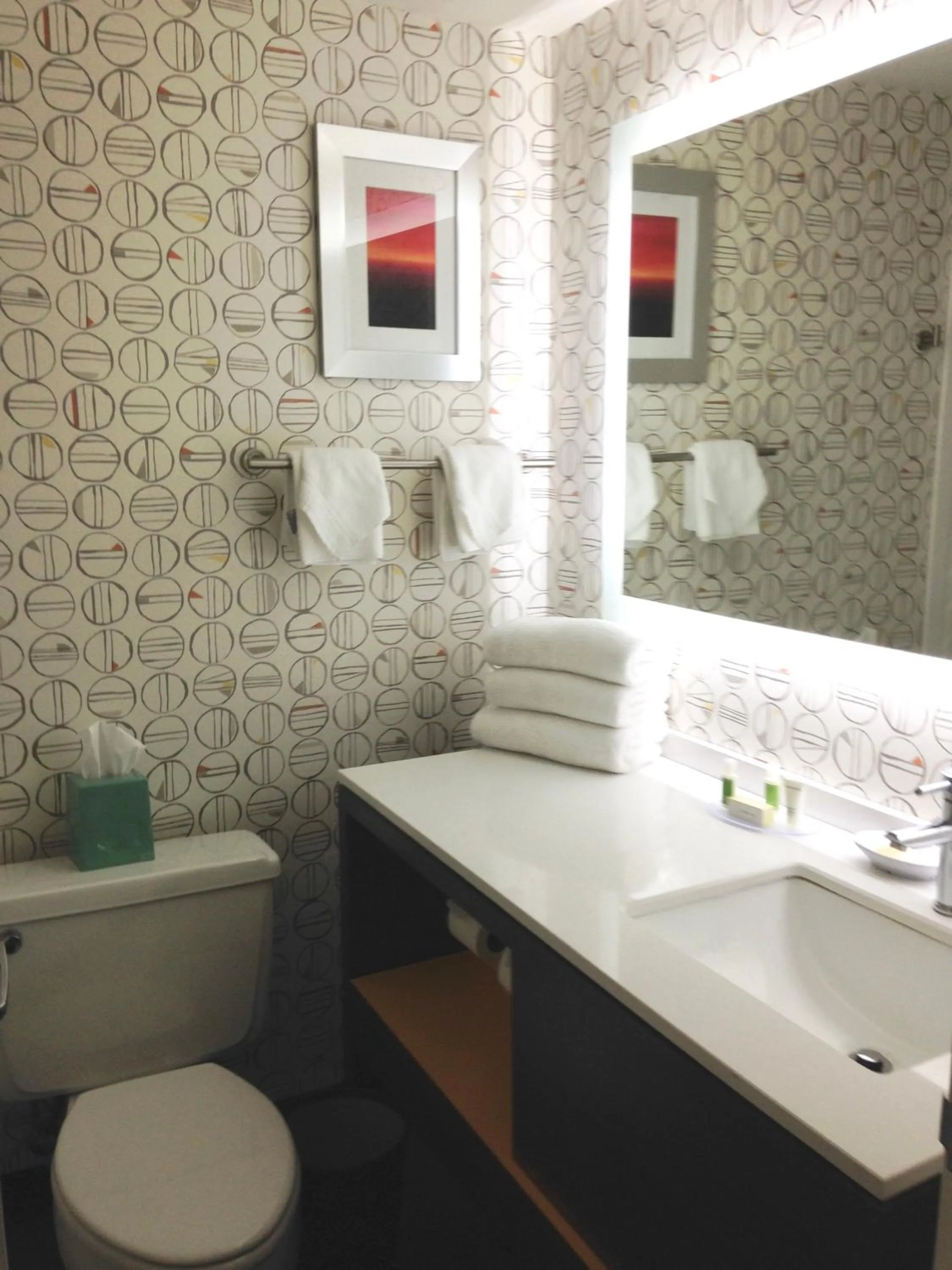 Toilet in Holiday Inn & Suites Pittsfield-Berkshires by IHG