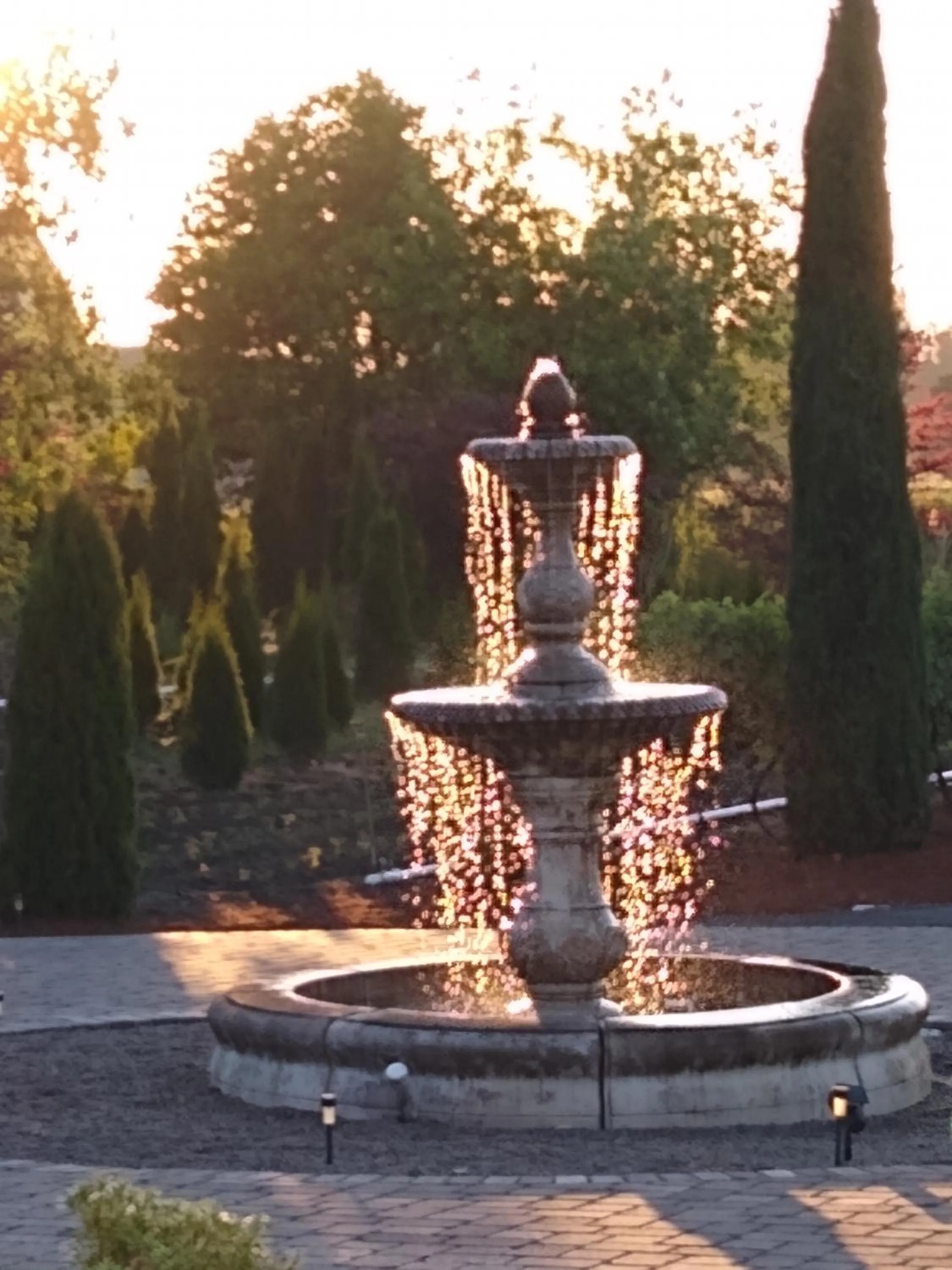 Garden in Casale