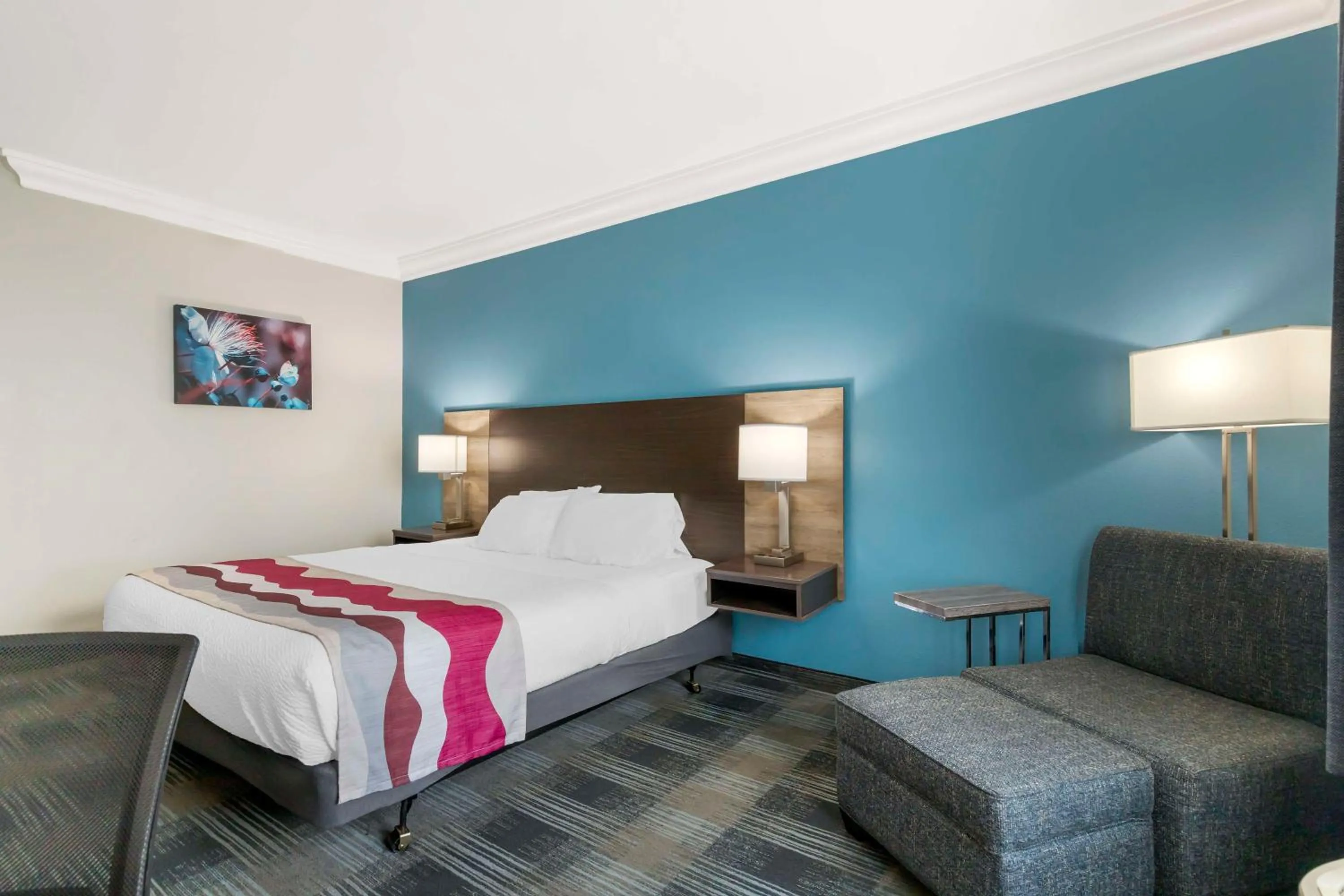 Bedroom, Bed in Best Western Medical Center North Inn & Suites Near Six Flags