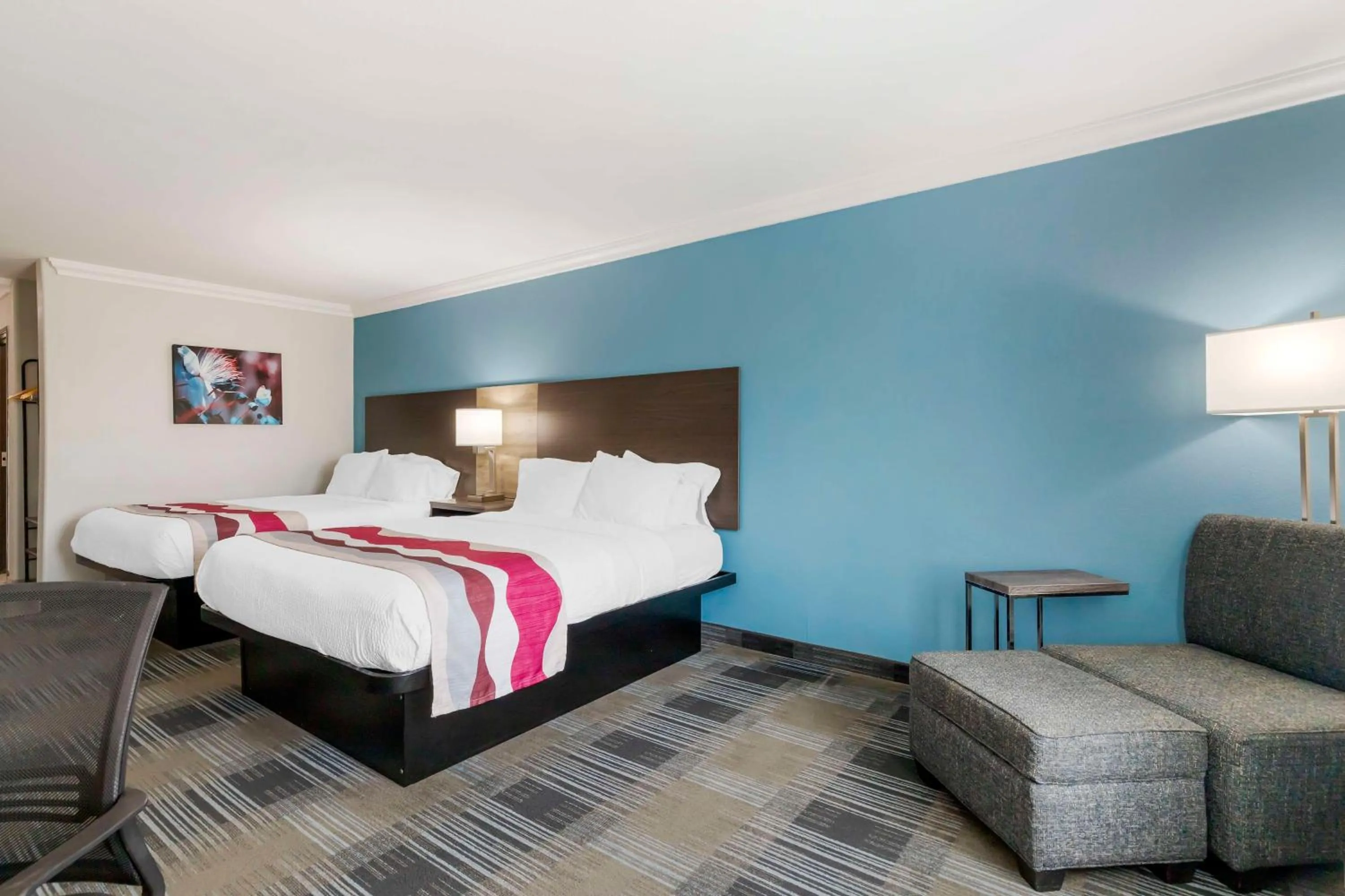 Bedroom, Bed in Best Western Medical Center North Inn & Suites Near Six Flags