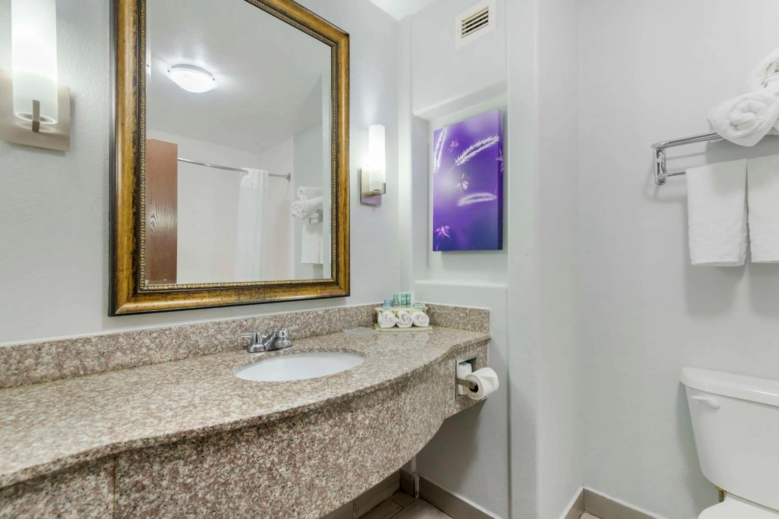 Bathroom in Best Western Medical Center North Inn & Suites Near Six Flags