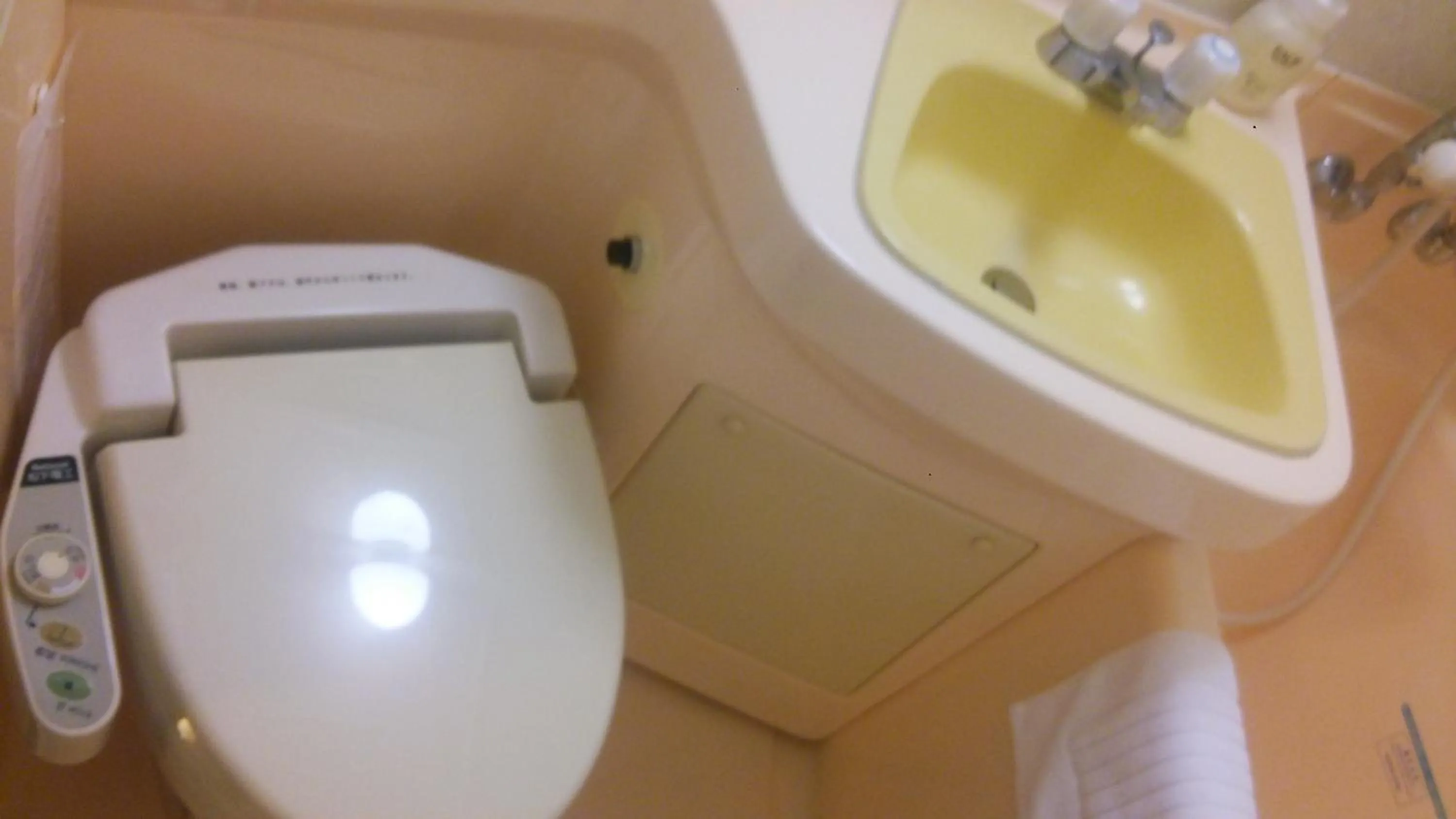 Toilet in Hotel Crownhills Fukushima