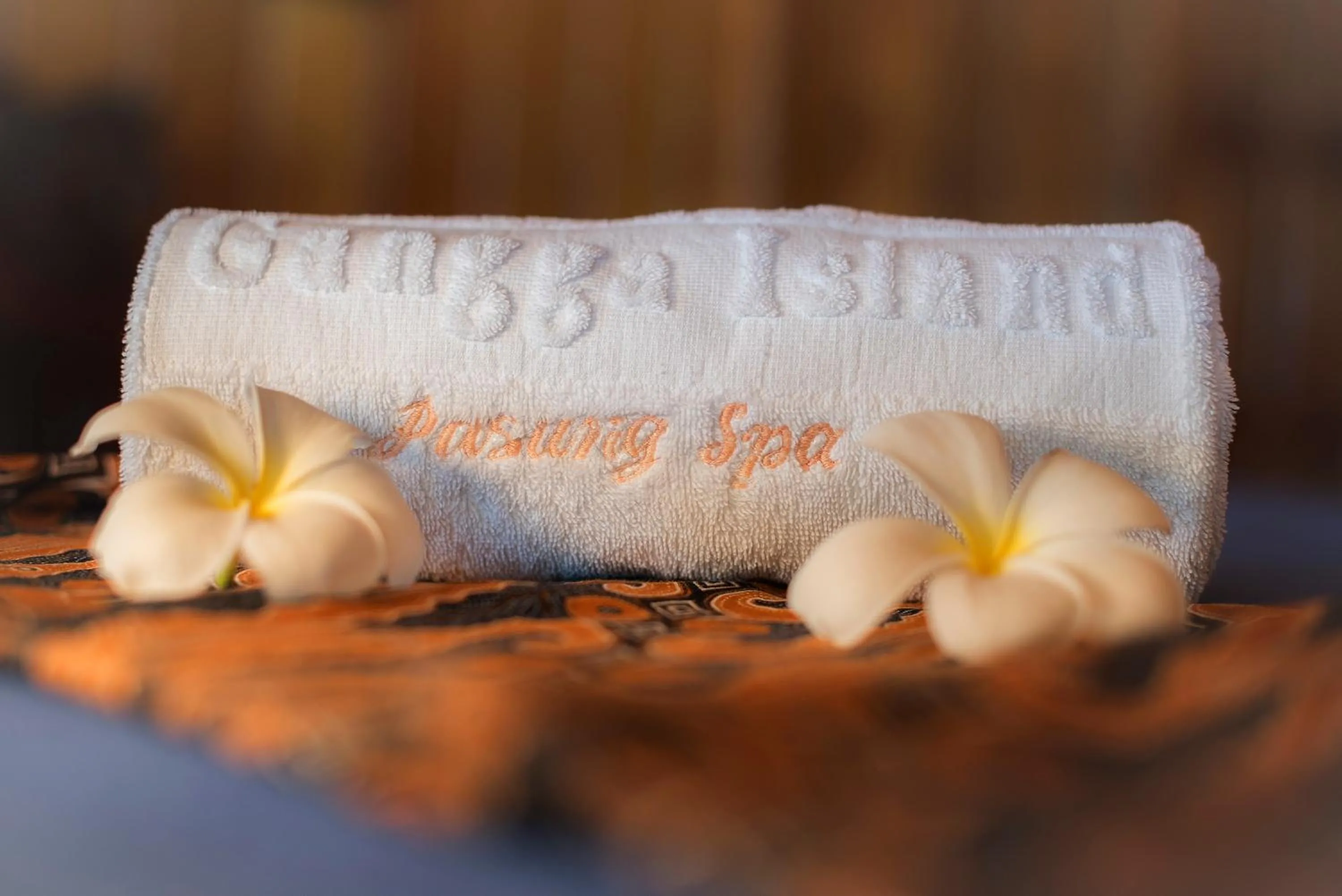 Massage in Gangga Island Resort & Spa