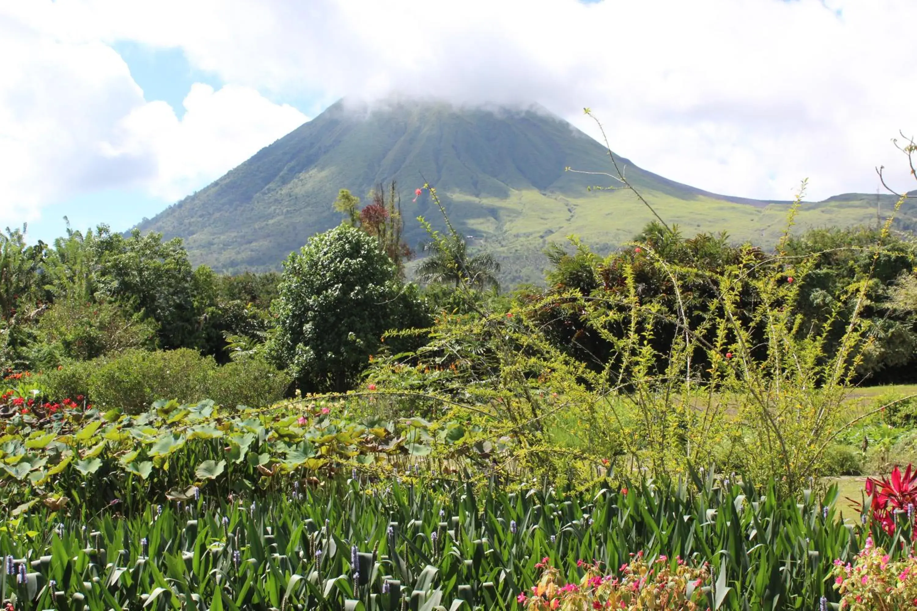 Nearby landmark, Natural Landscape in Gangga Island Resort & Spa