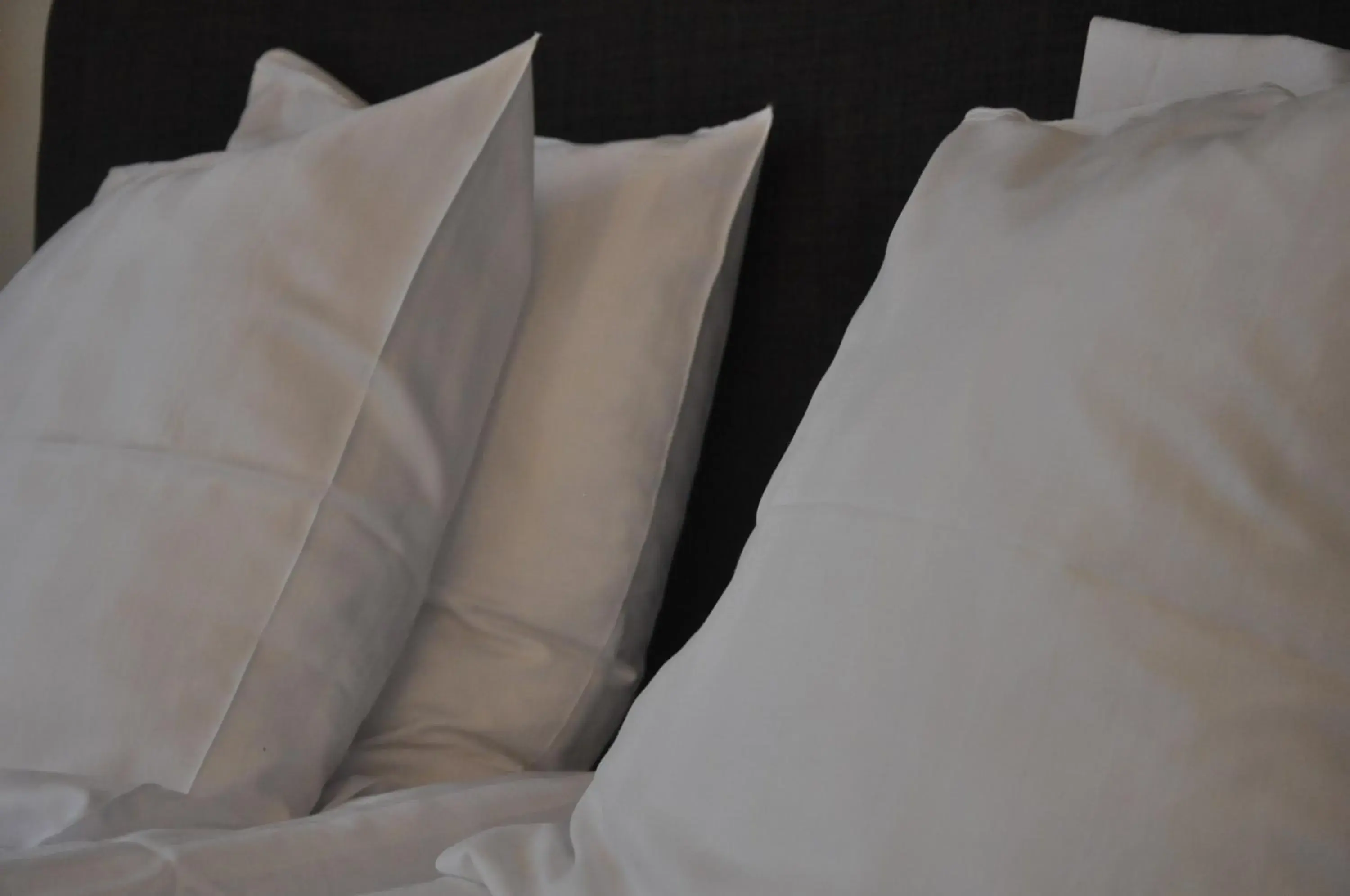 Bed in Home Hotel Norre Park Bed in Home Hotel Norre Park