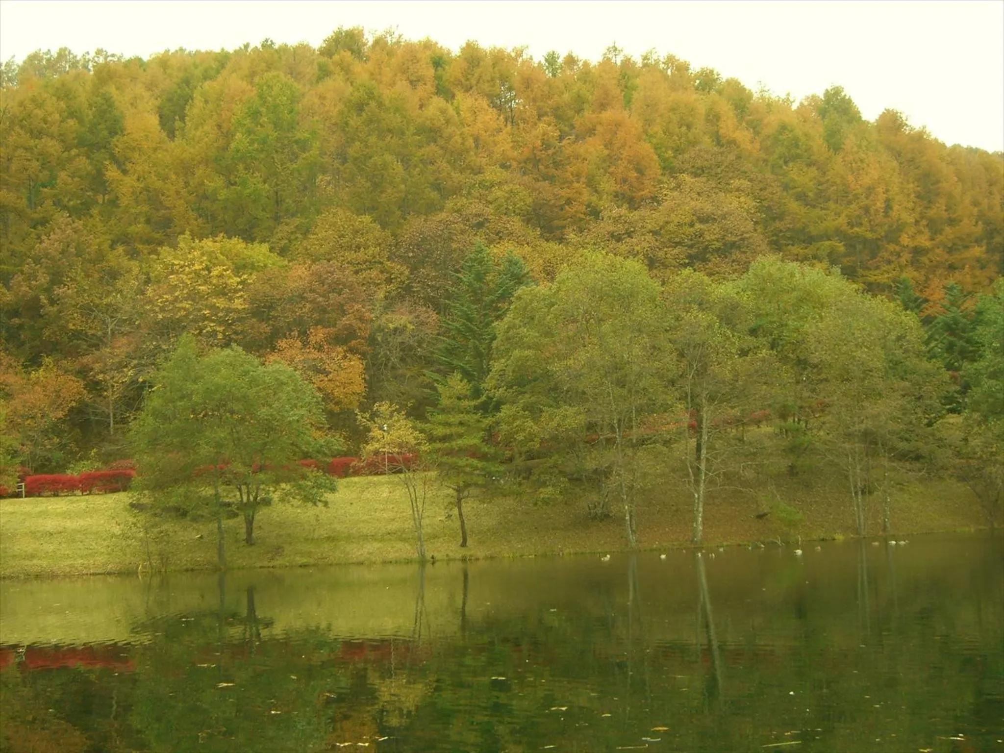 Autumn in Tateshina Tokyu Hotel