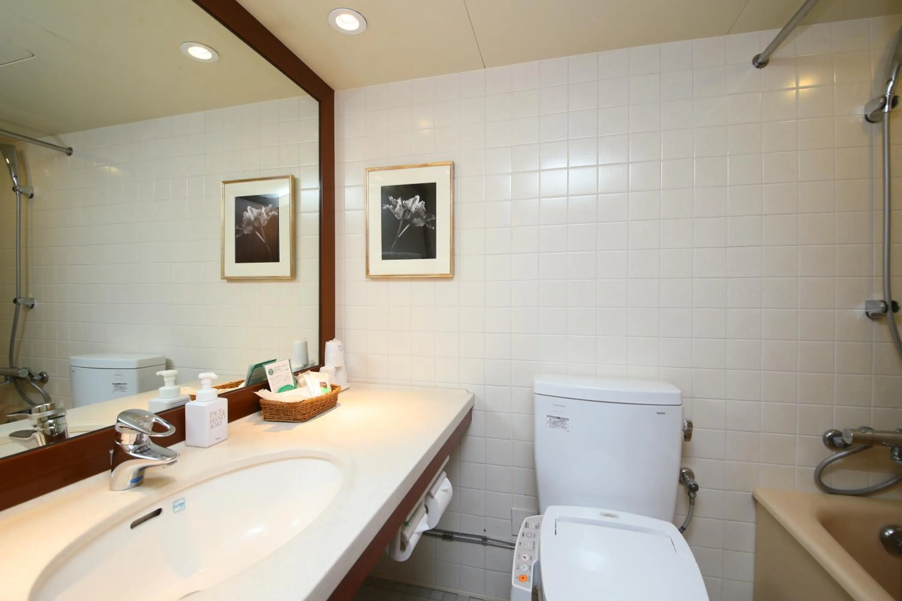 Bathroom in Tateshina Tokyu Hotel